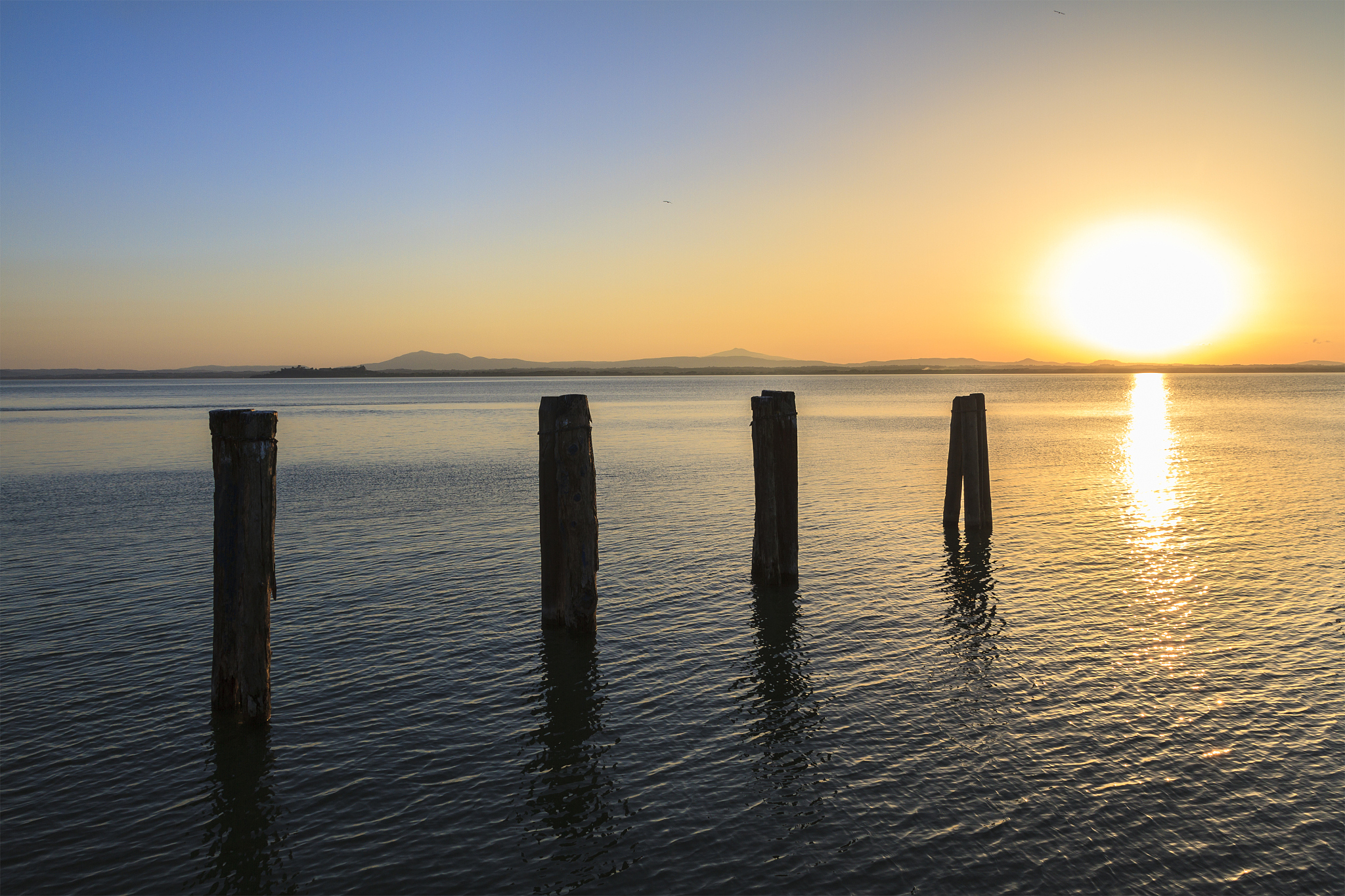 英贝健西梅汁包装对比：哪款适合你？