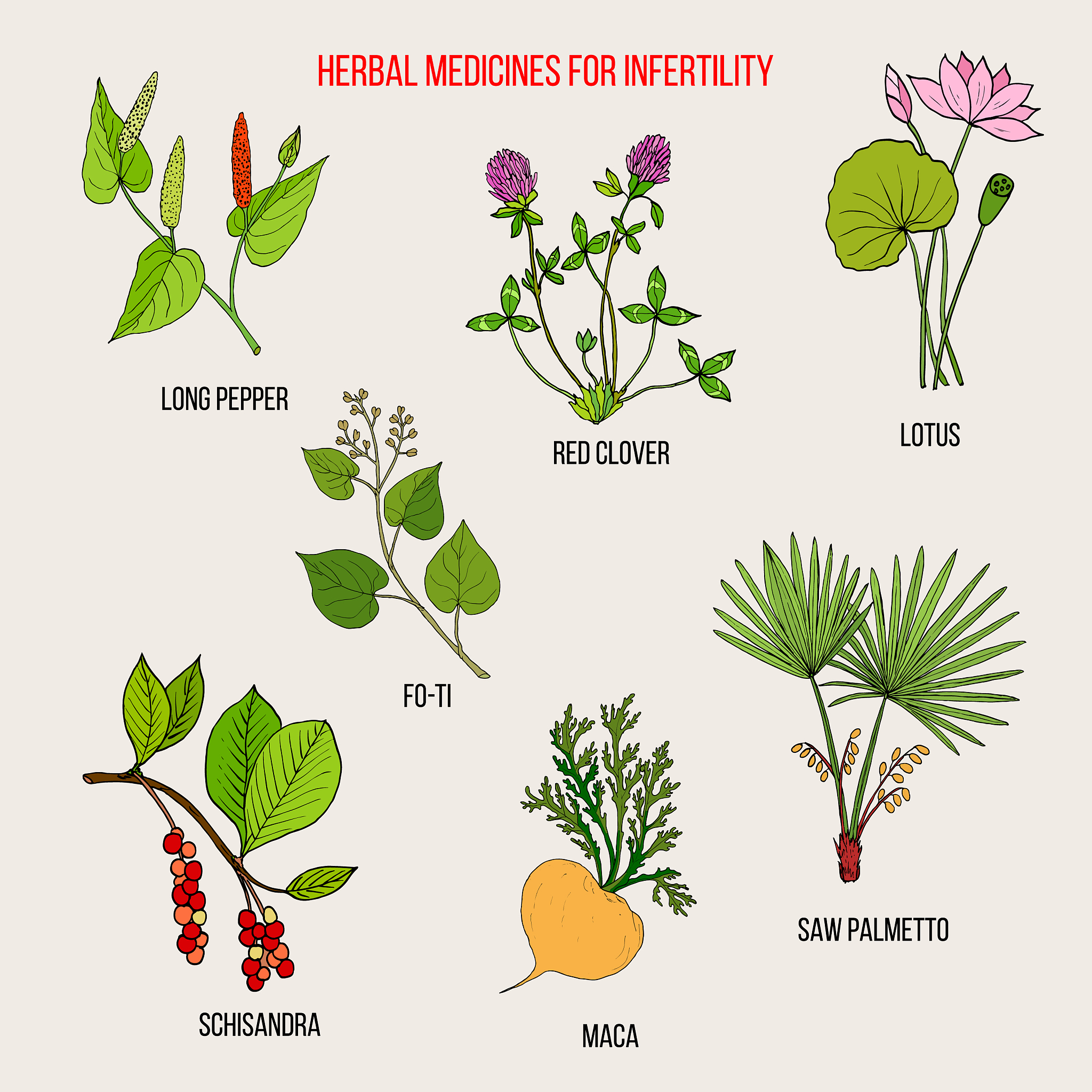 apa itu stable different