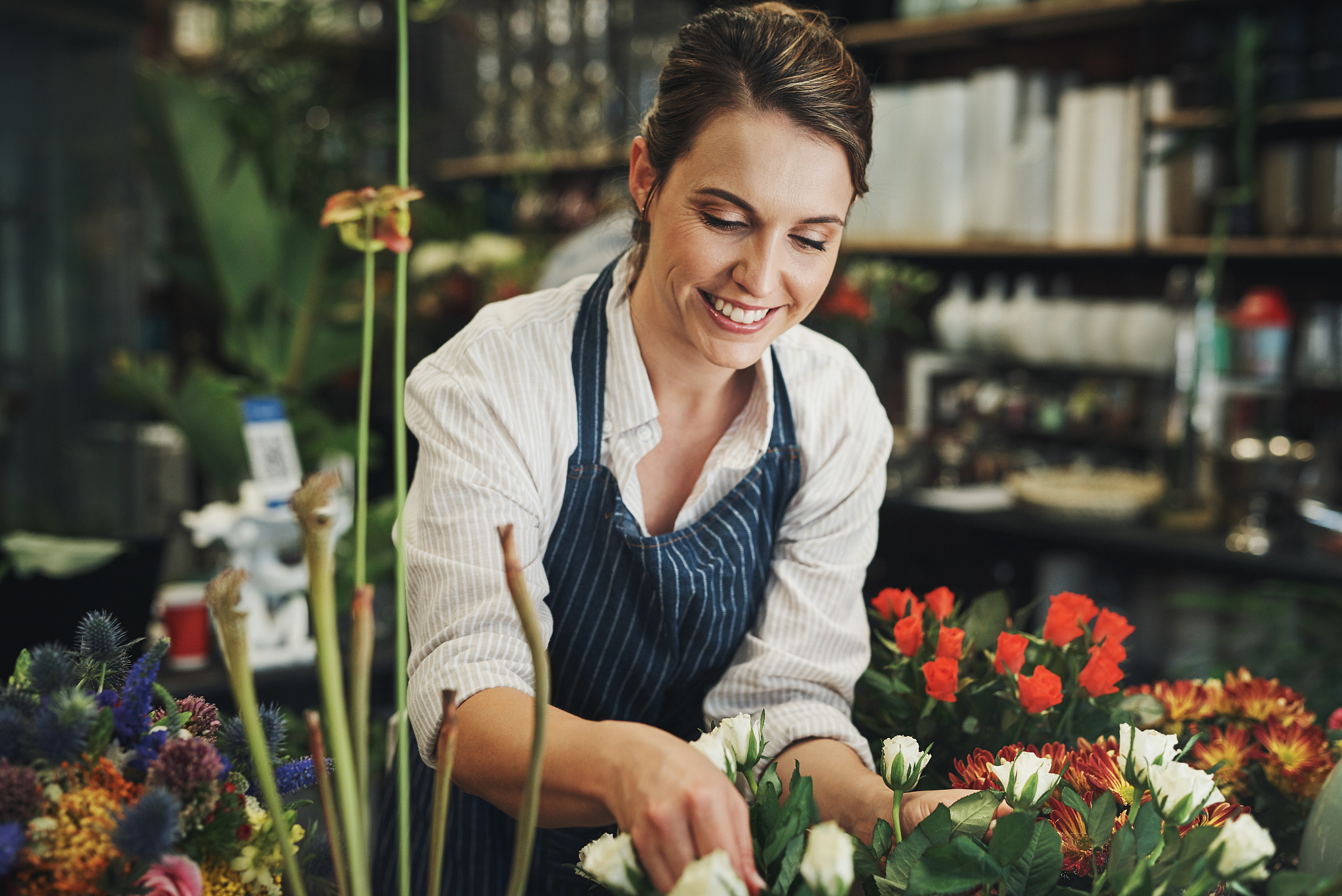 甘肃哪些学校开设有园林艺术专业