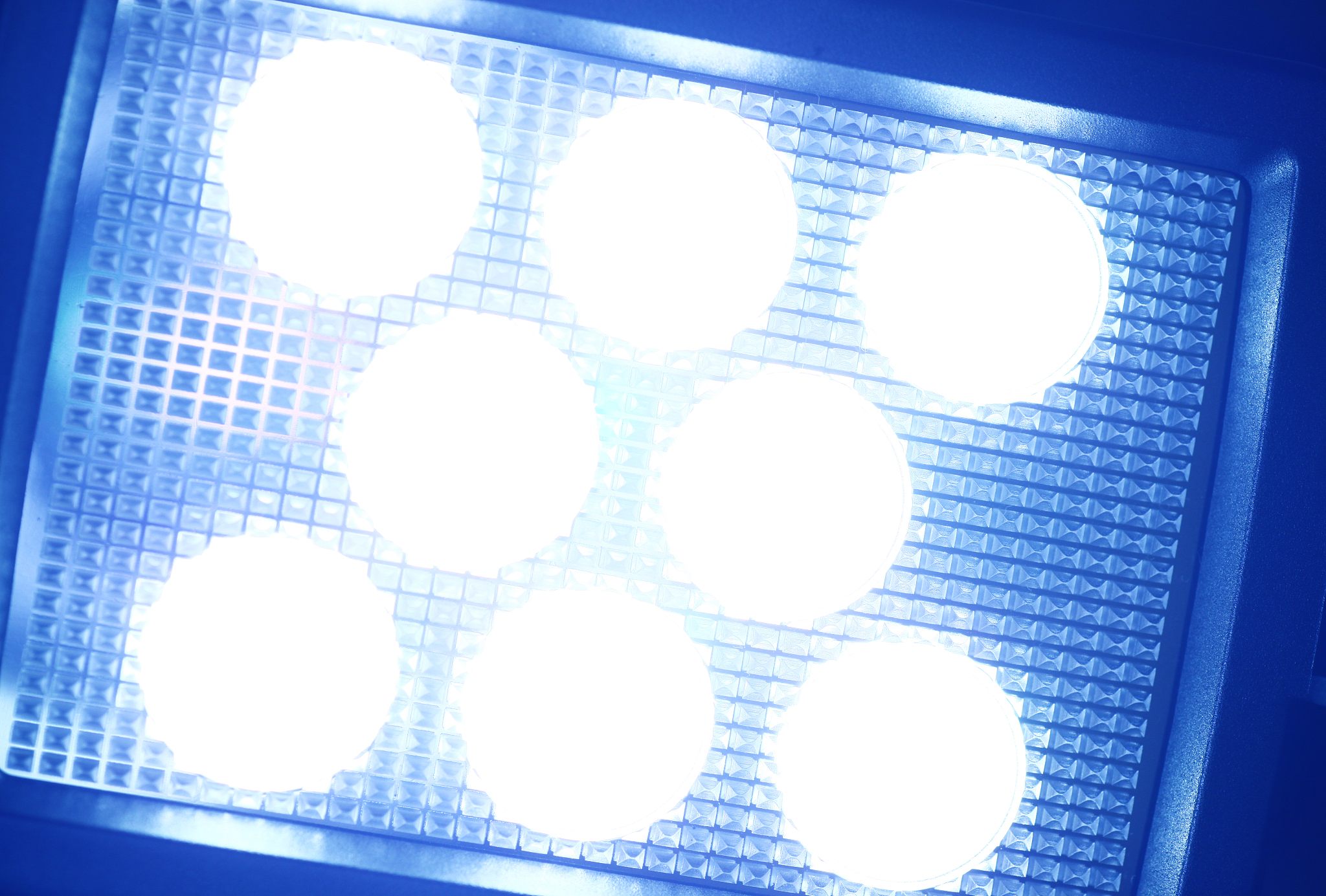 卤素大灯VS LED灯：哪个更好？