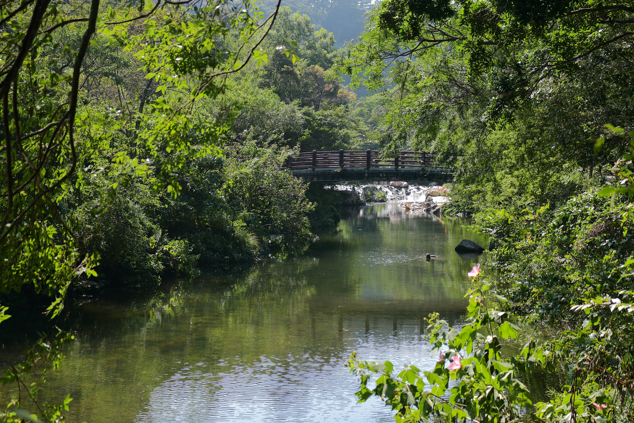 cheonjiyeon falls, waterfalls, valleys, streams,