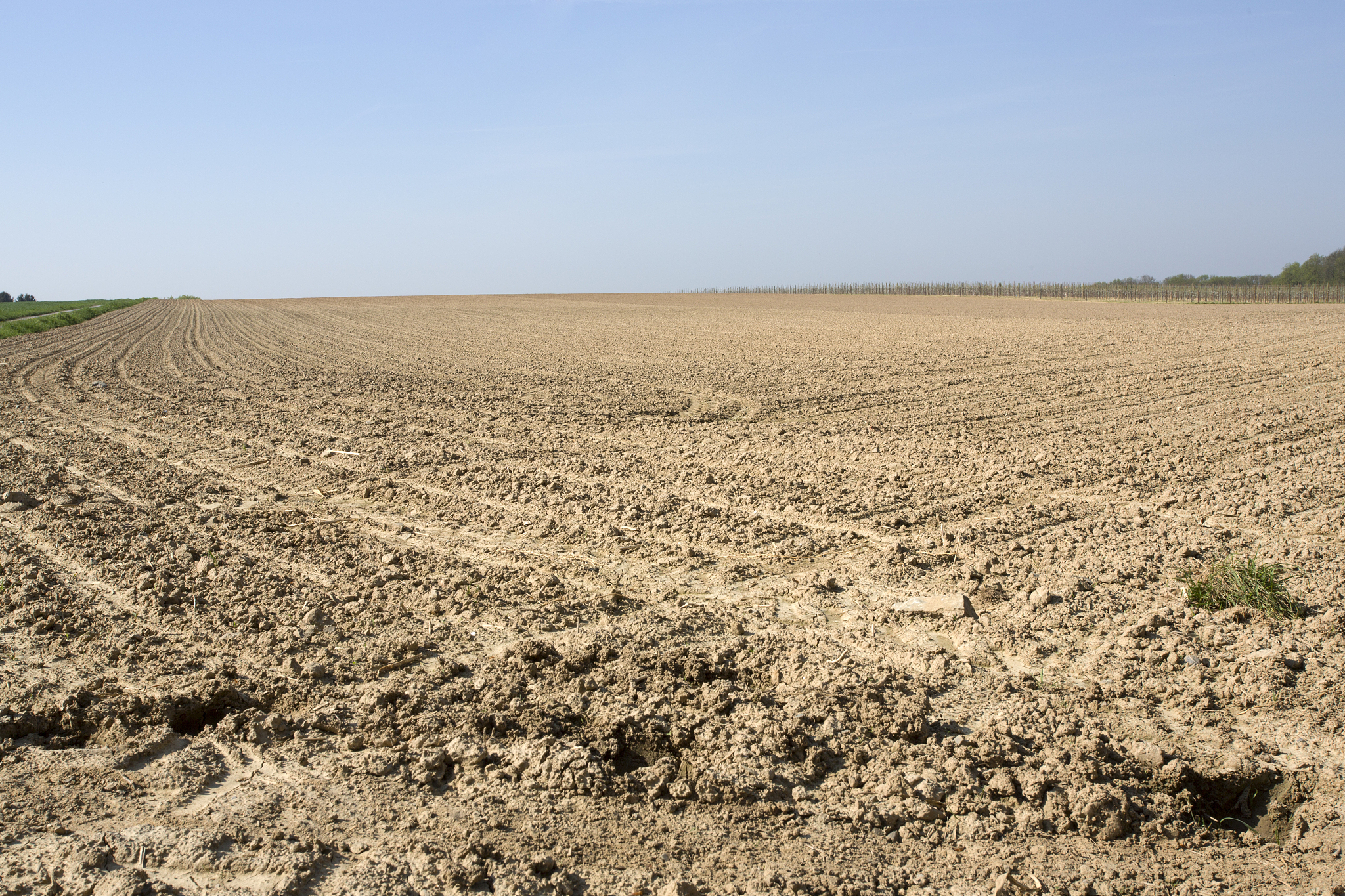field