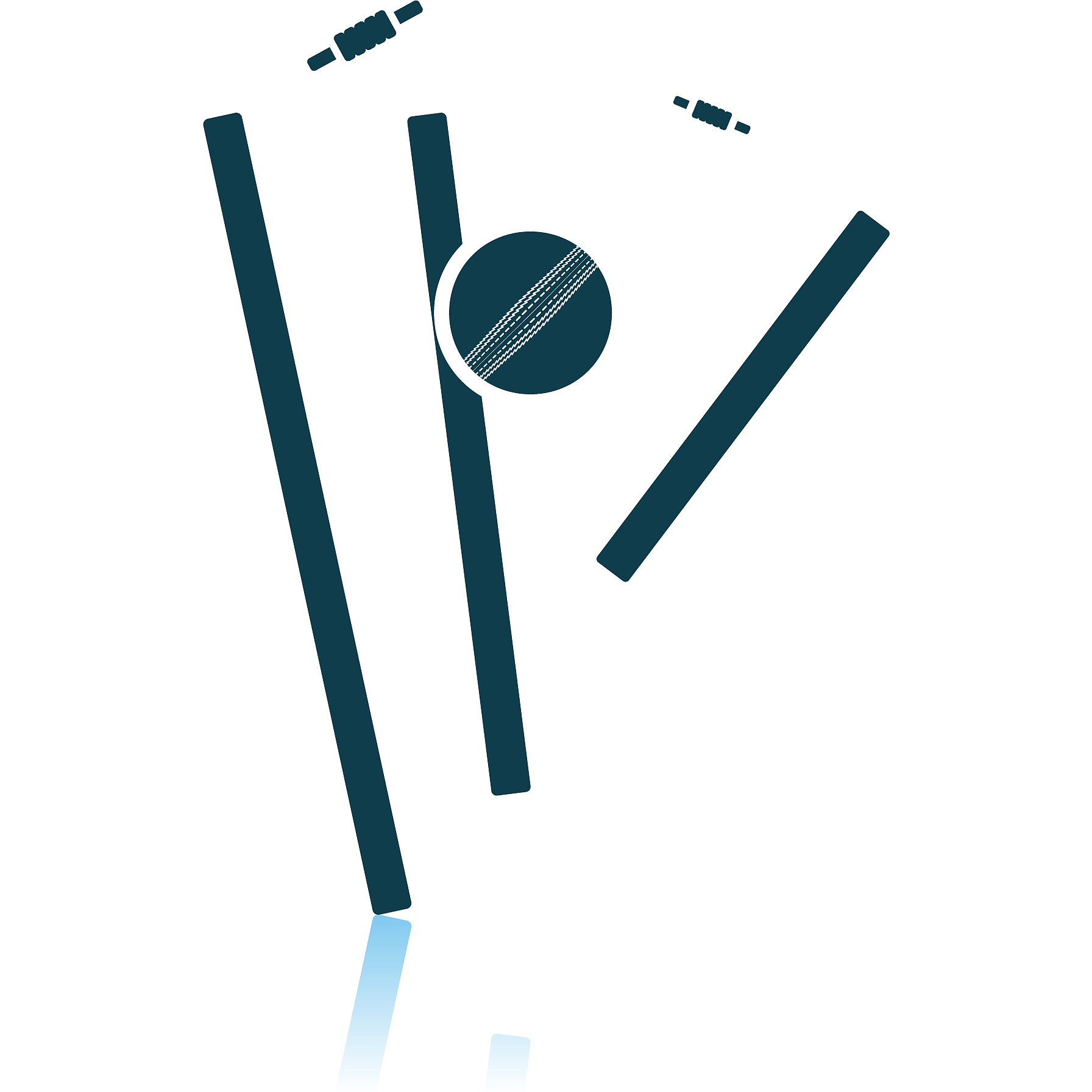 cricket wicket icon
