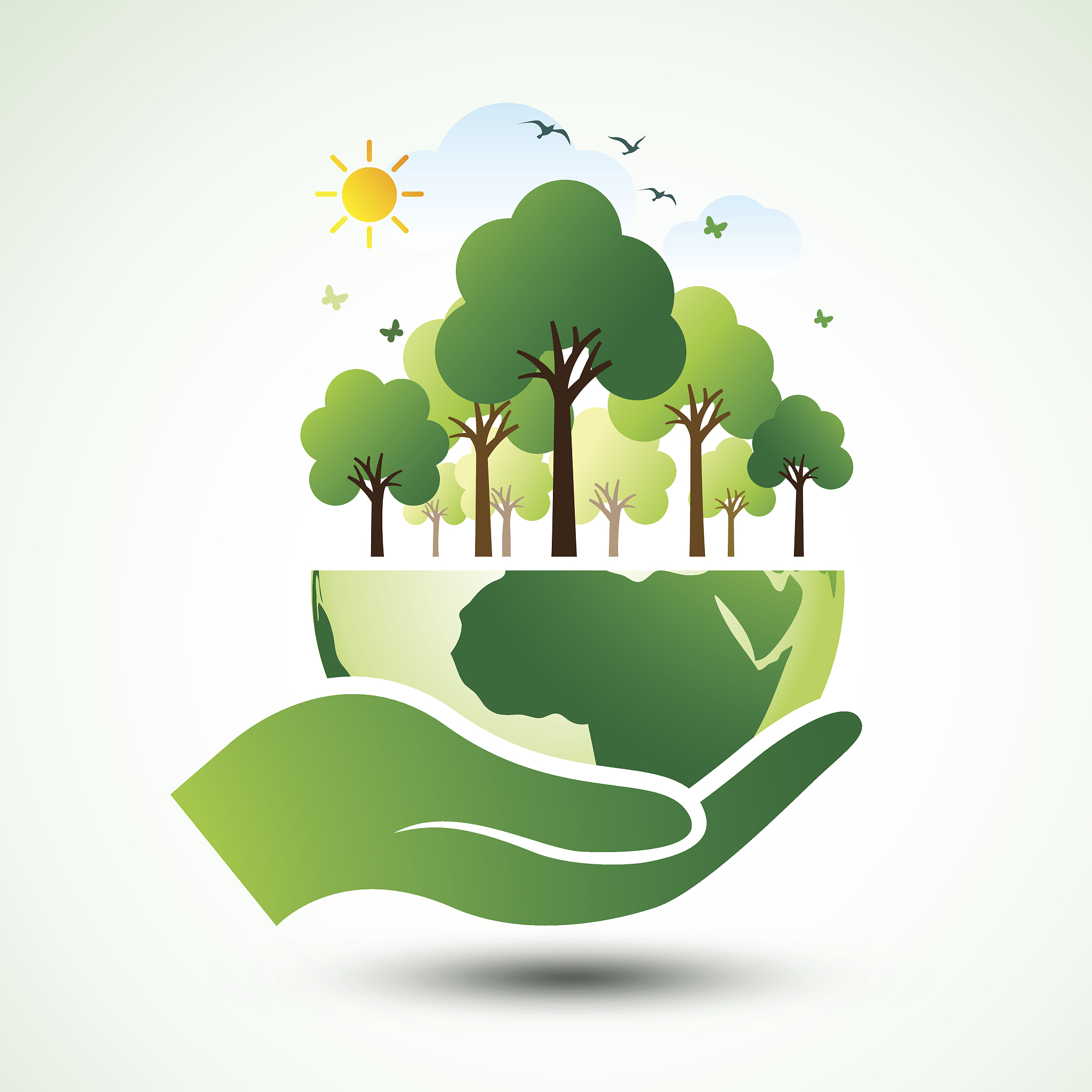 hands holding the green earth