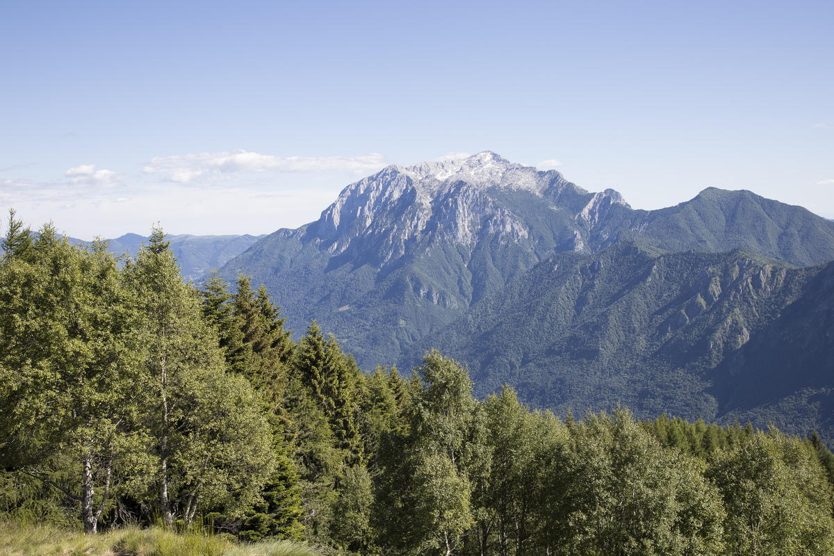 请用100字描述雪山一半被白云遮盖一半清晰可见的场景