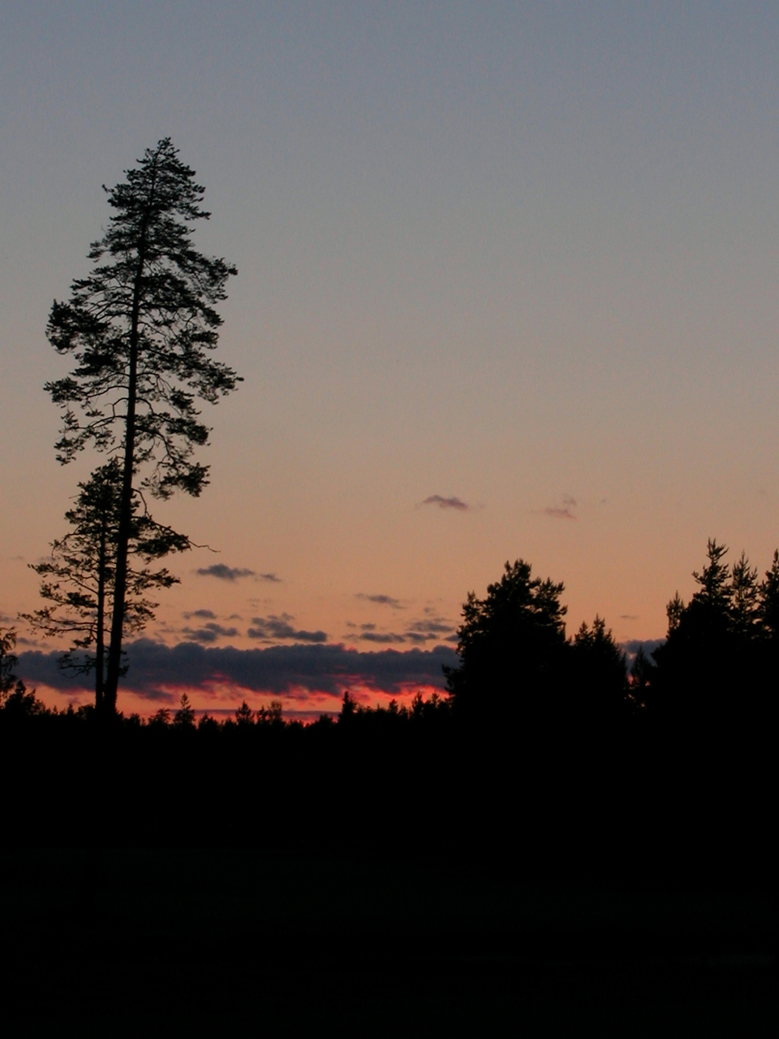 黑与白对与错几人又能说清。叹人生转头逝留下此刻夜色。造同样句