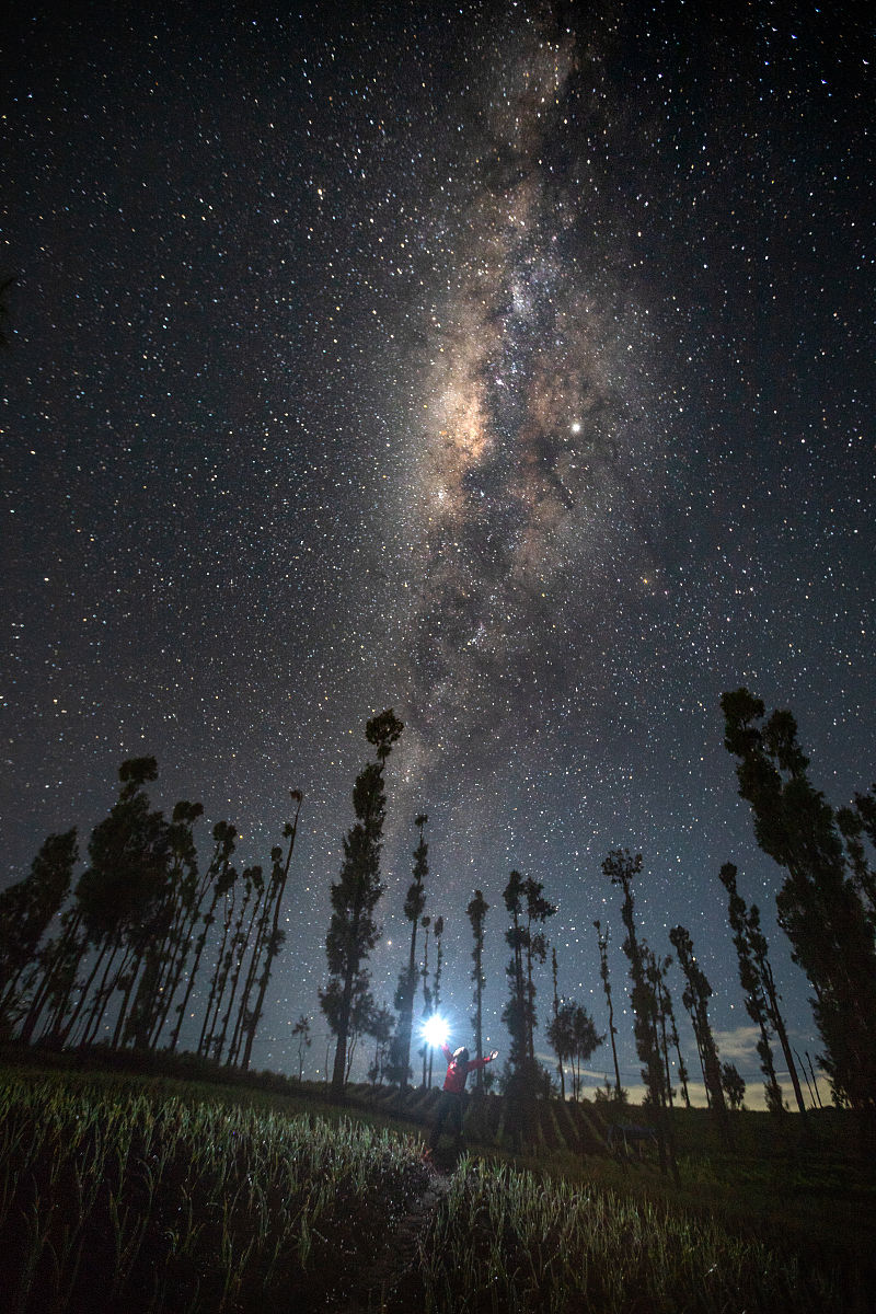 夜晚散步的魅力：与星星对话的宁静感受