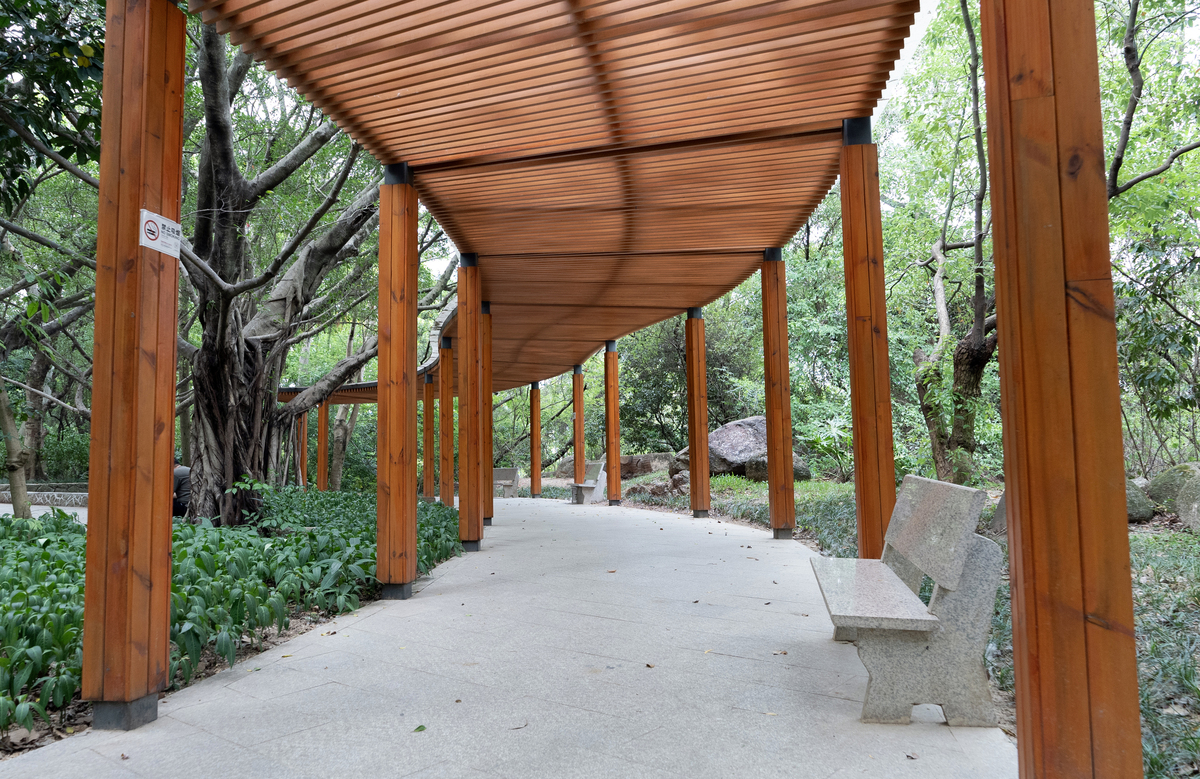 树形廊架茶室设计主题：与时俱进，满足多元需求