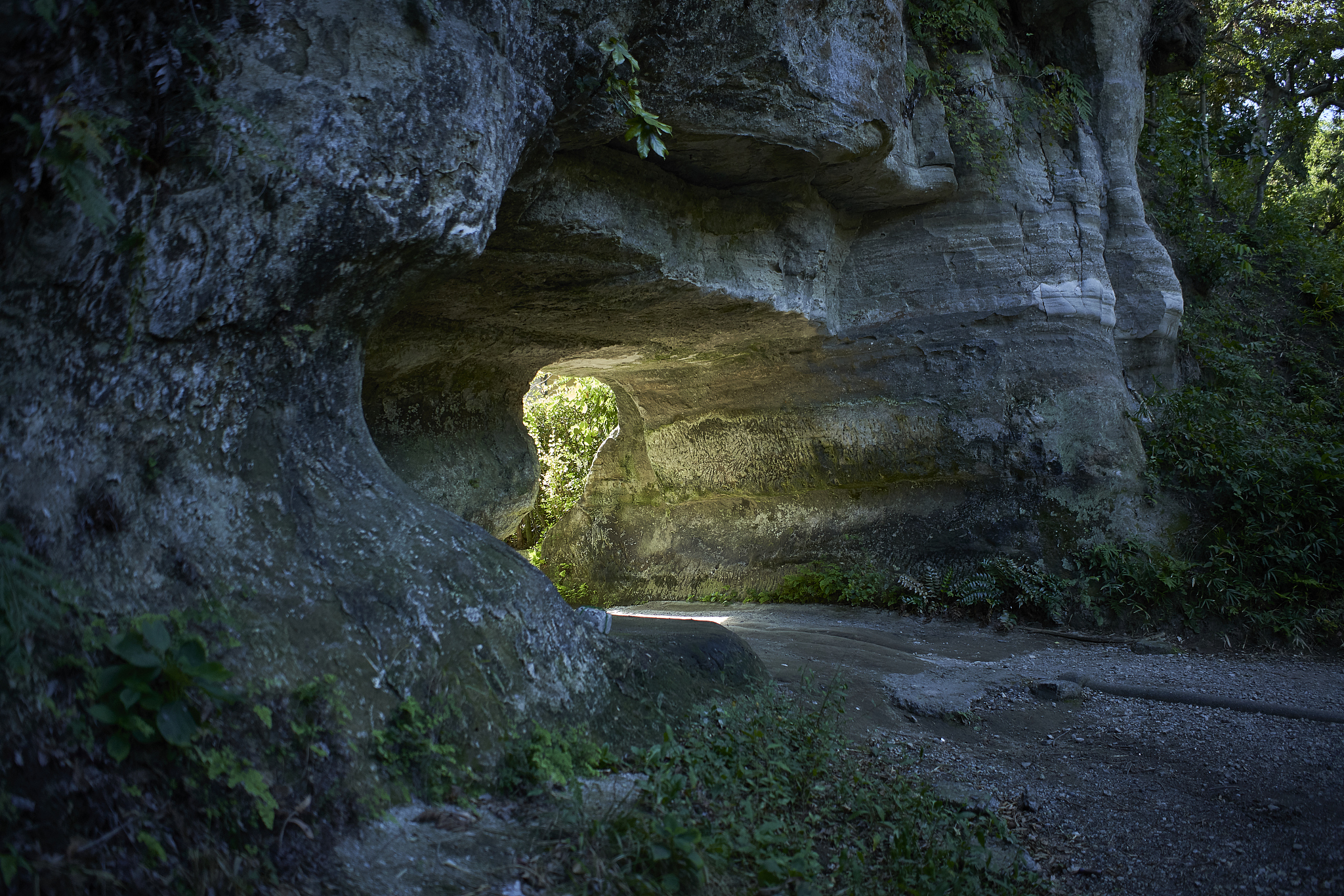 镰仓幕府的政治结构。