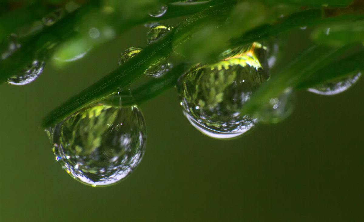 雨的魅力：大自然的奇妙表现形式