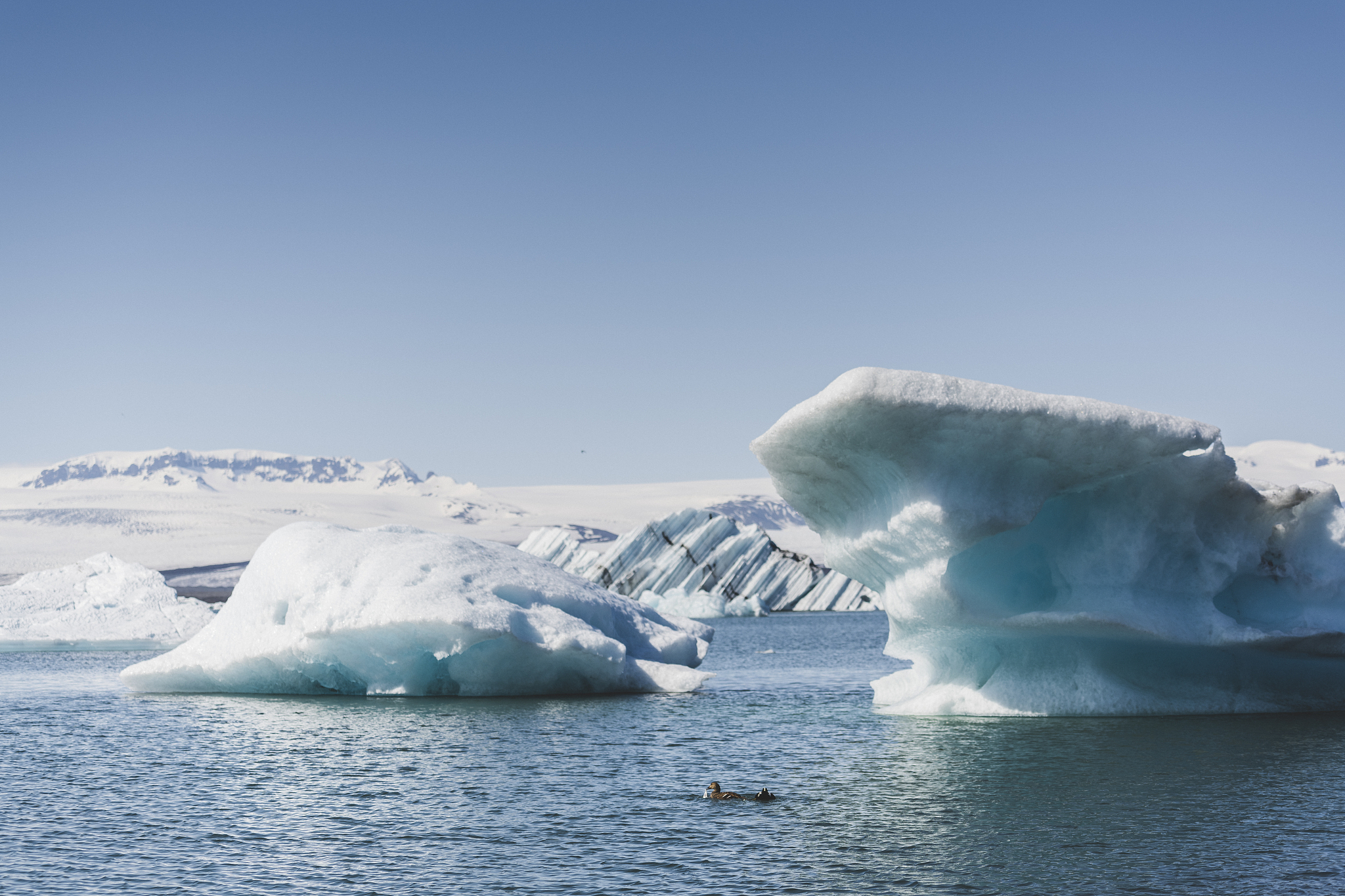 pale blue icebergs floating in tranquil arctic ocean