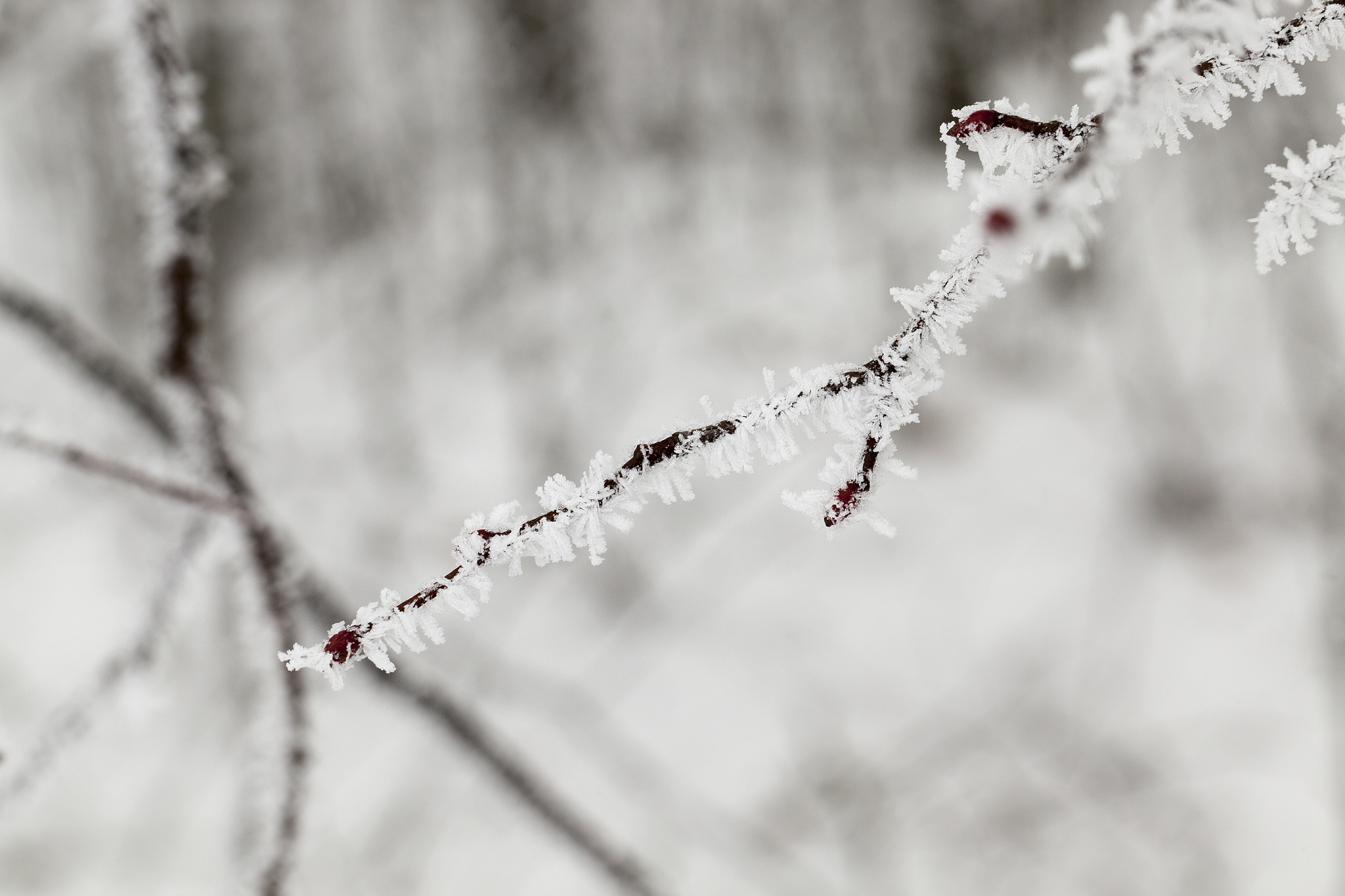 你是一位中国诗人请帮我写一首暮春的雪的诗