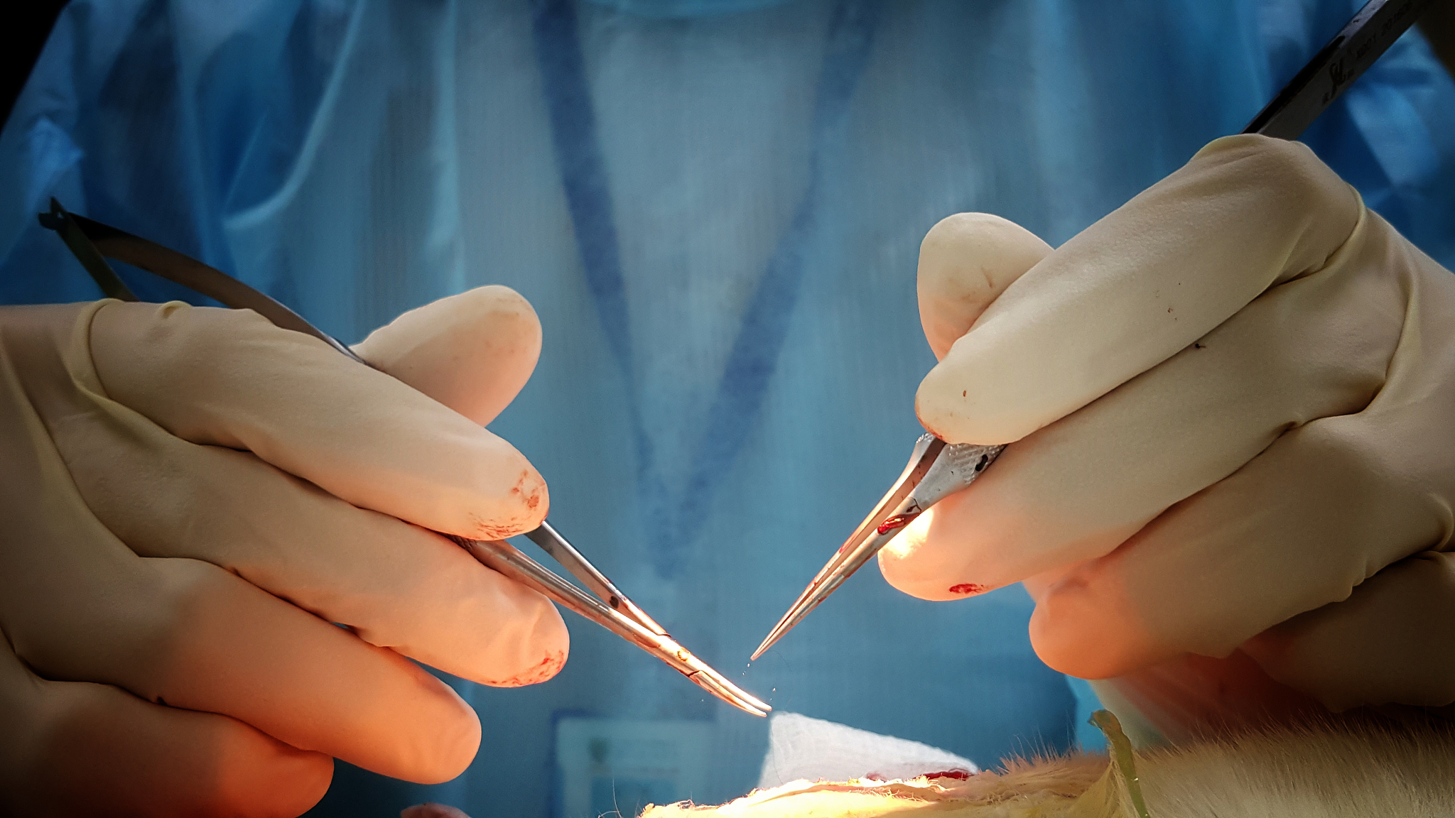 杭州职达健康养生分院2021年报名需要满足哪些条件