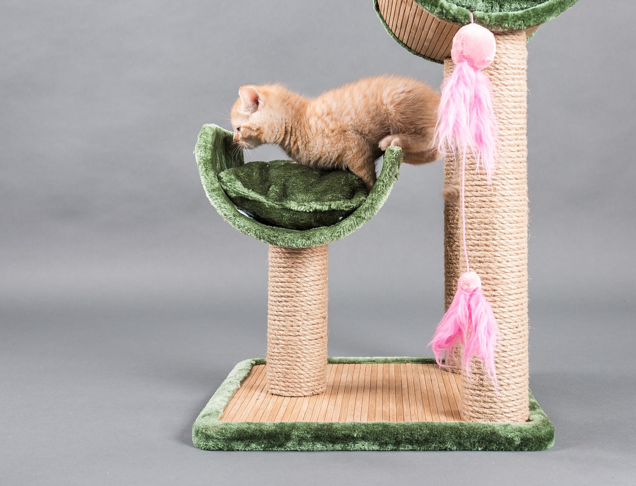 荷叶仿生猫爬架设计说明：为猫打造舒适有趣的活动空间