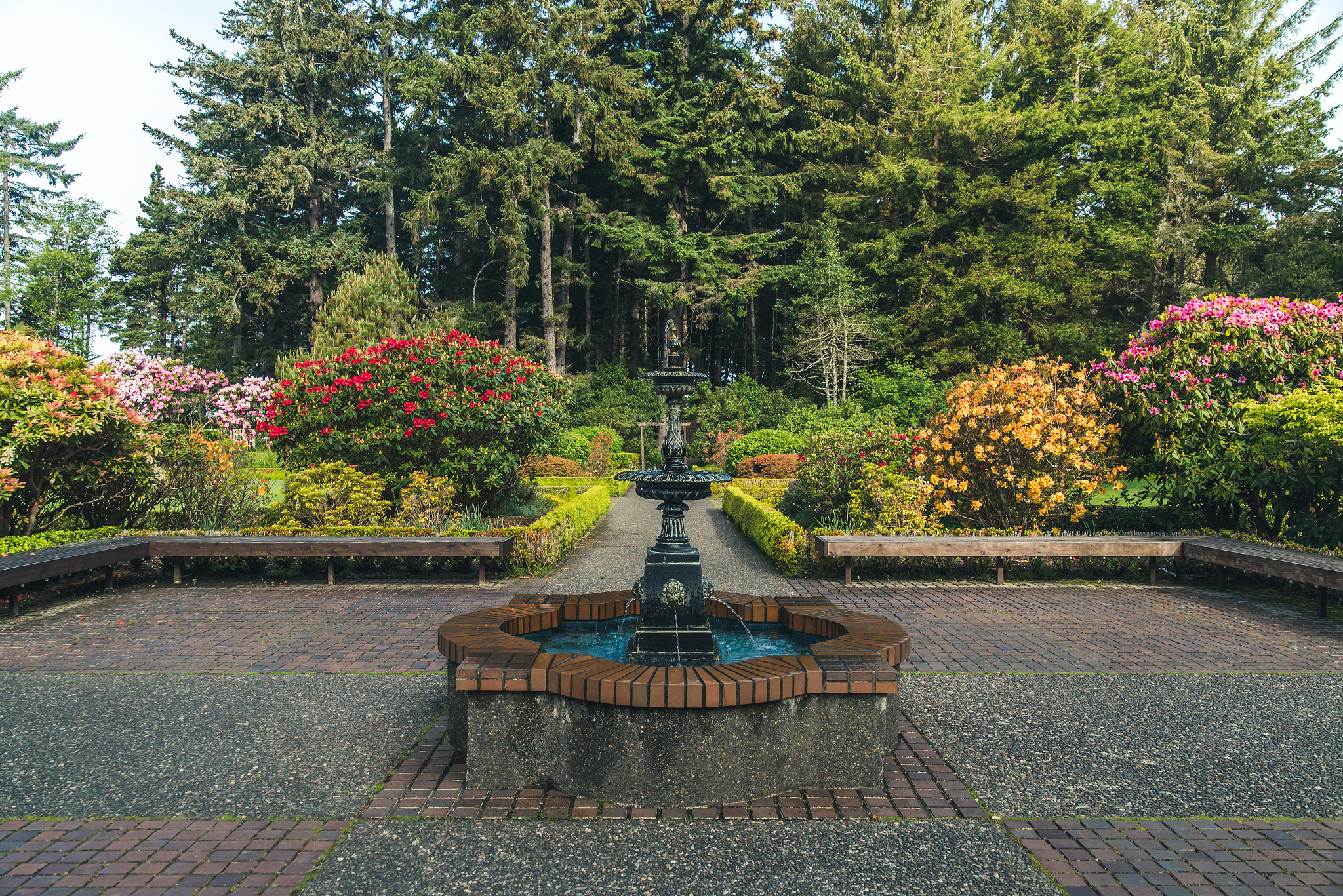 云南省林业学校园林技术专业怎么样？就业前景如何？