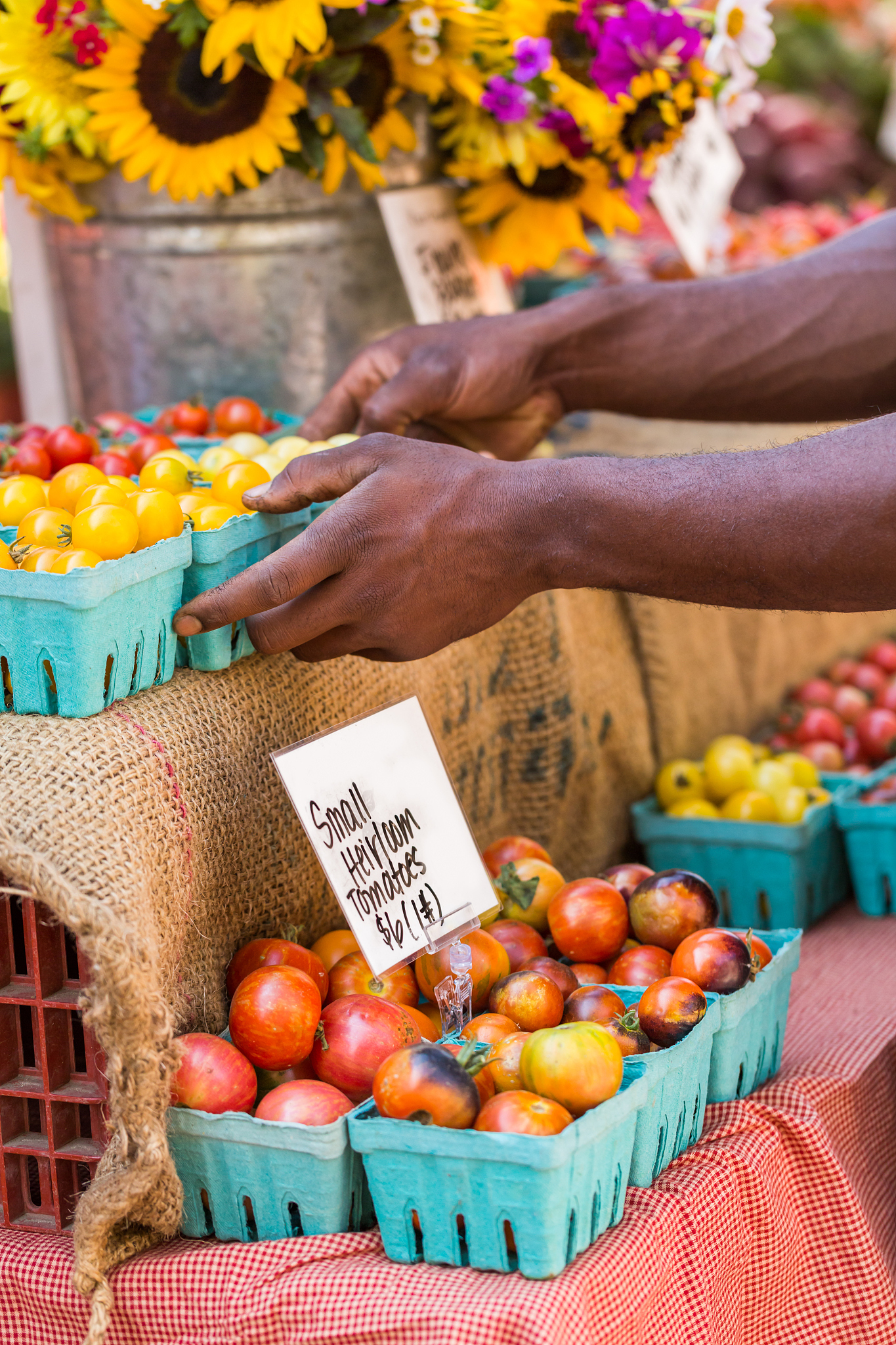 Fruit Festivals and Rural Tourism: A Global Perspective