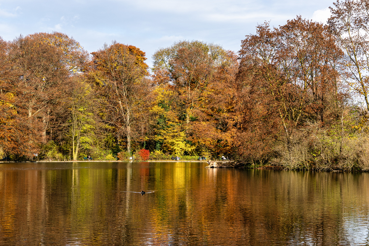 小池描写的景色：秋天的湖边美景