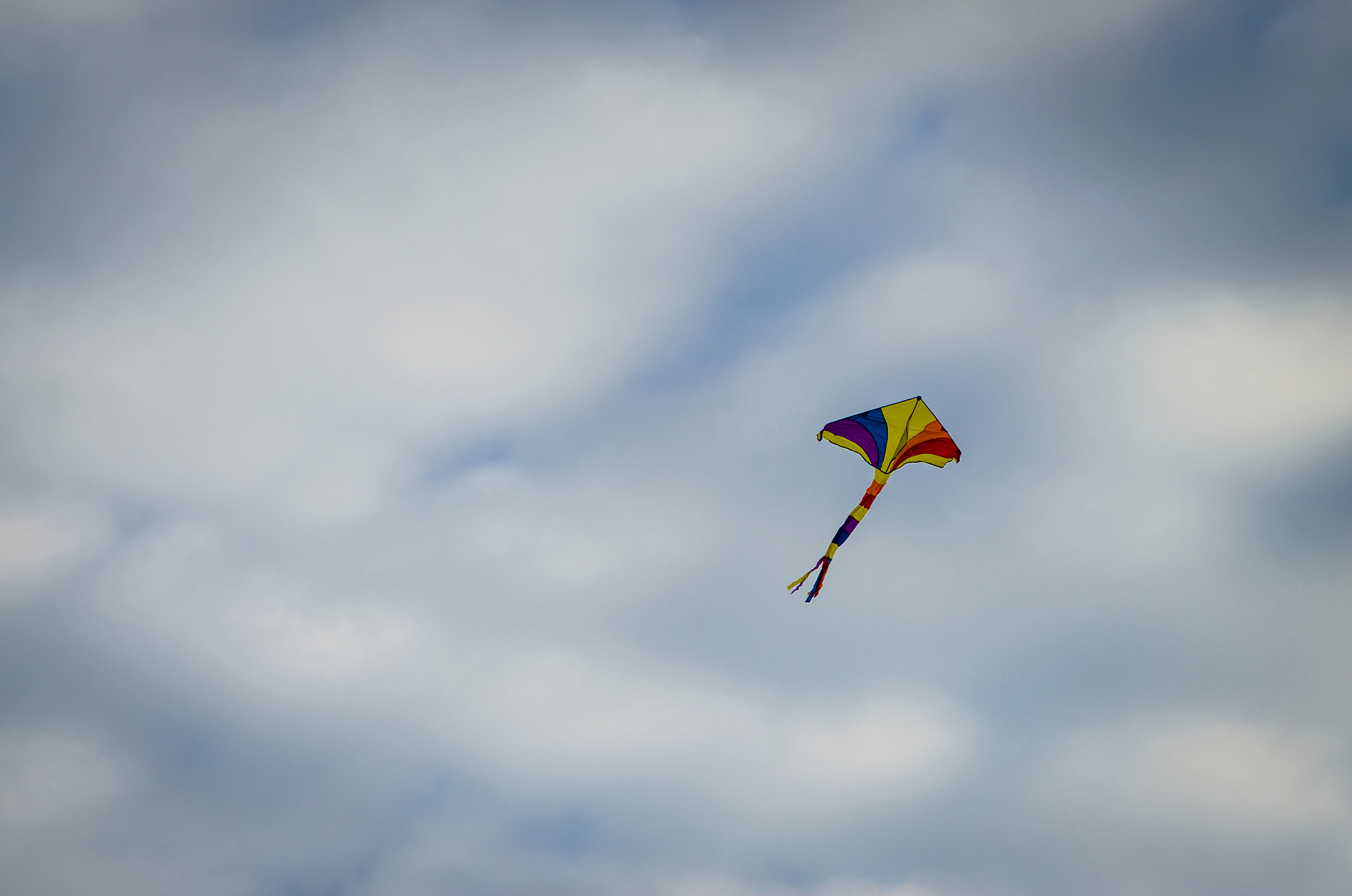 flying kite in the sky