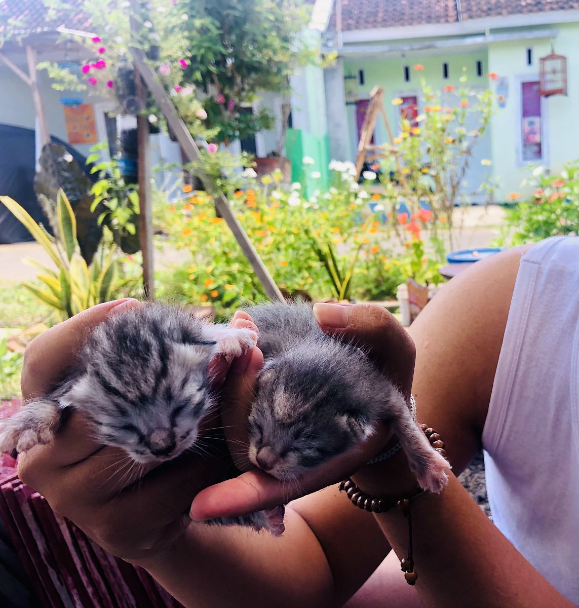 日语日常称呼大全：15种常用称呼用法解析