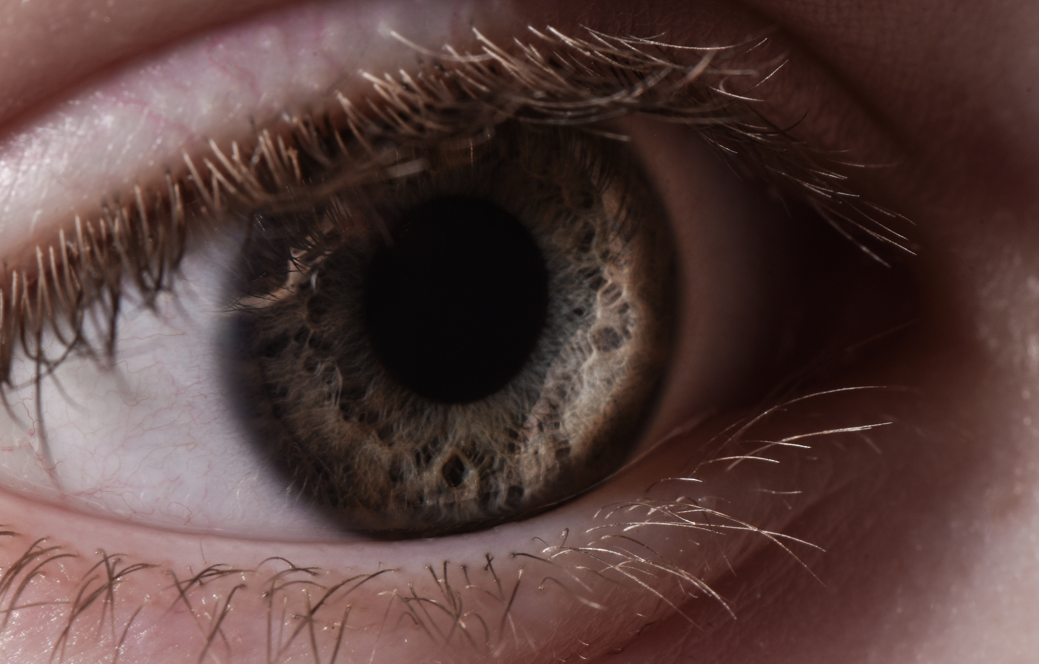 close-up of human eye