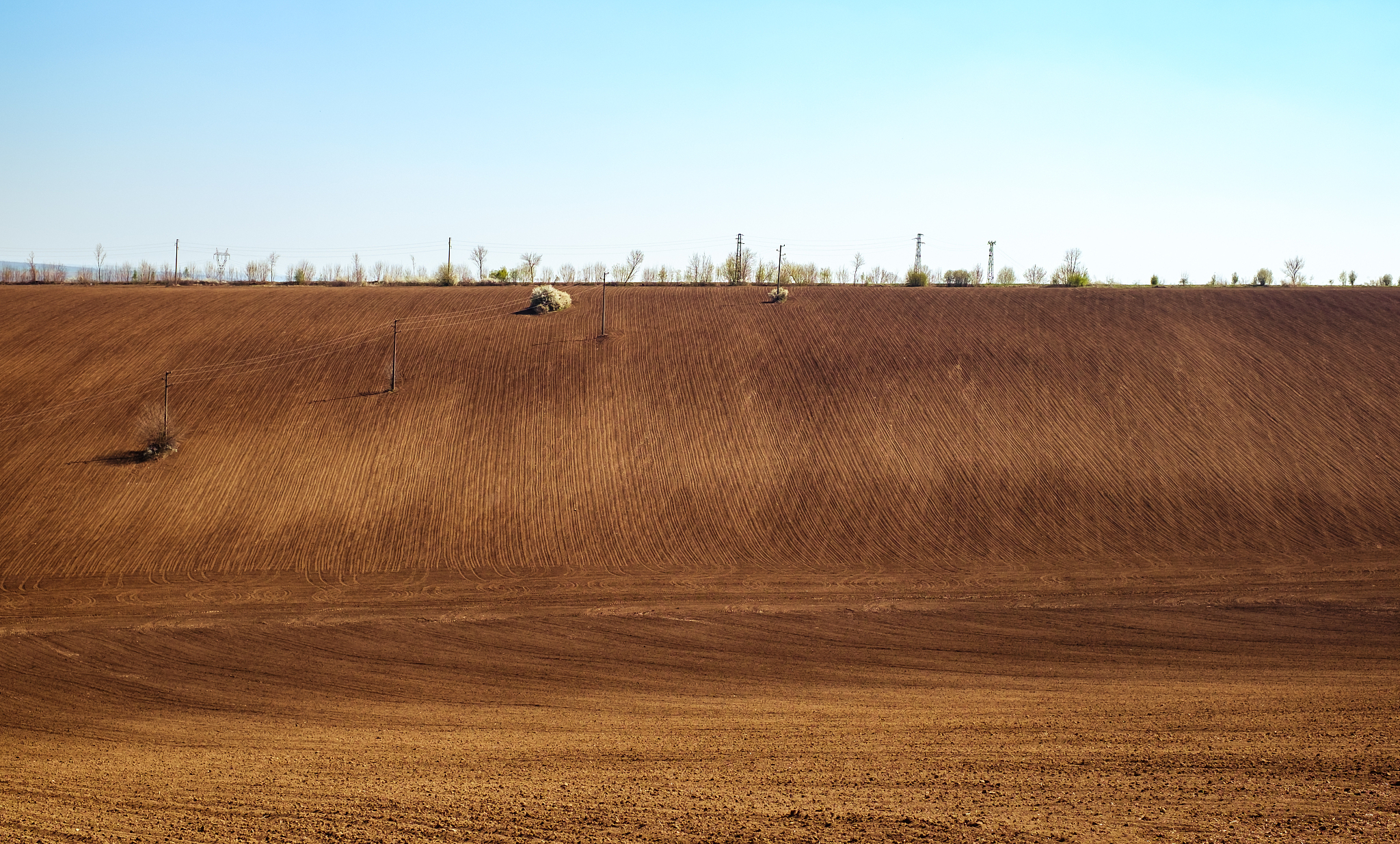 hay bales on field against clear sky