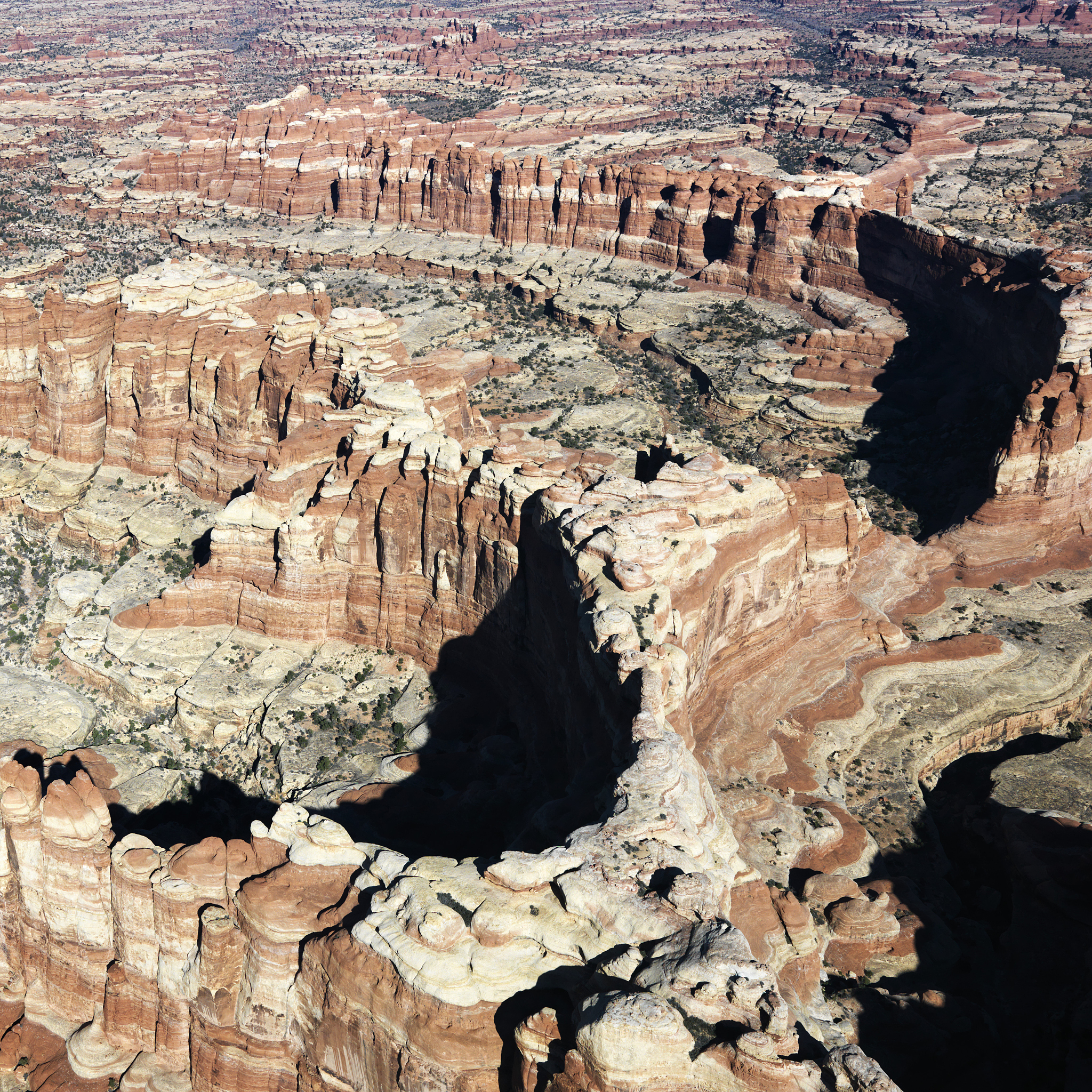 非洲大裂谷：生命与进化奇迹