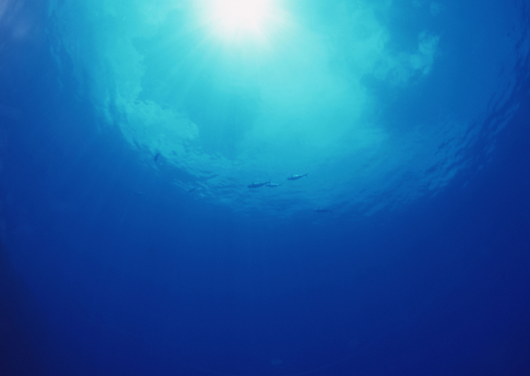 underwater