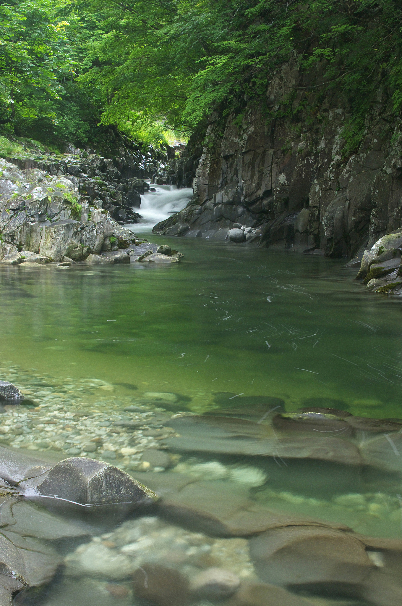 海关总署进出口食品安全局负责人就日本福岛核污染水处置评估表态