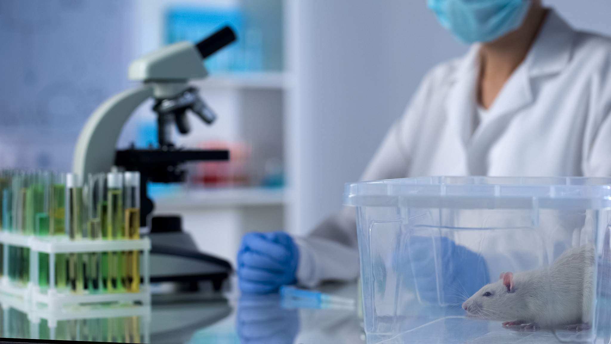 动物科学行业研究