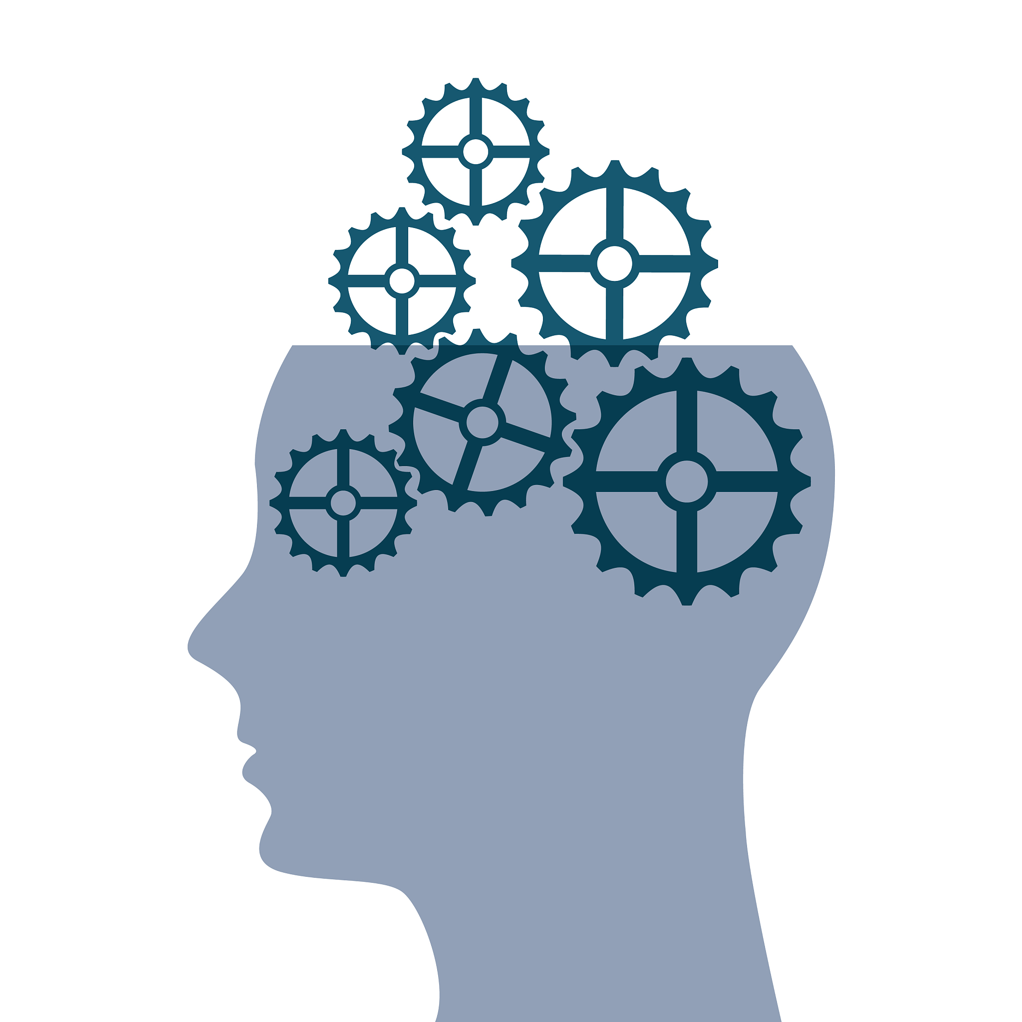 室内装饰实习收获与体会：实践提升专业技能与沟通能力