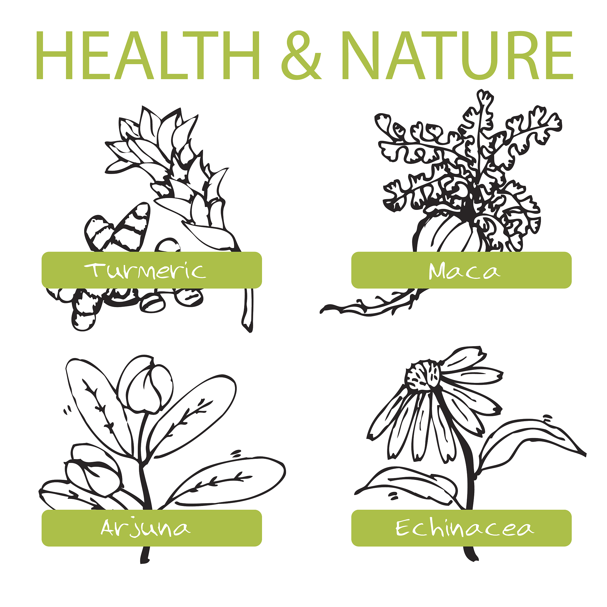 什么是医学营养专业用发散性思