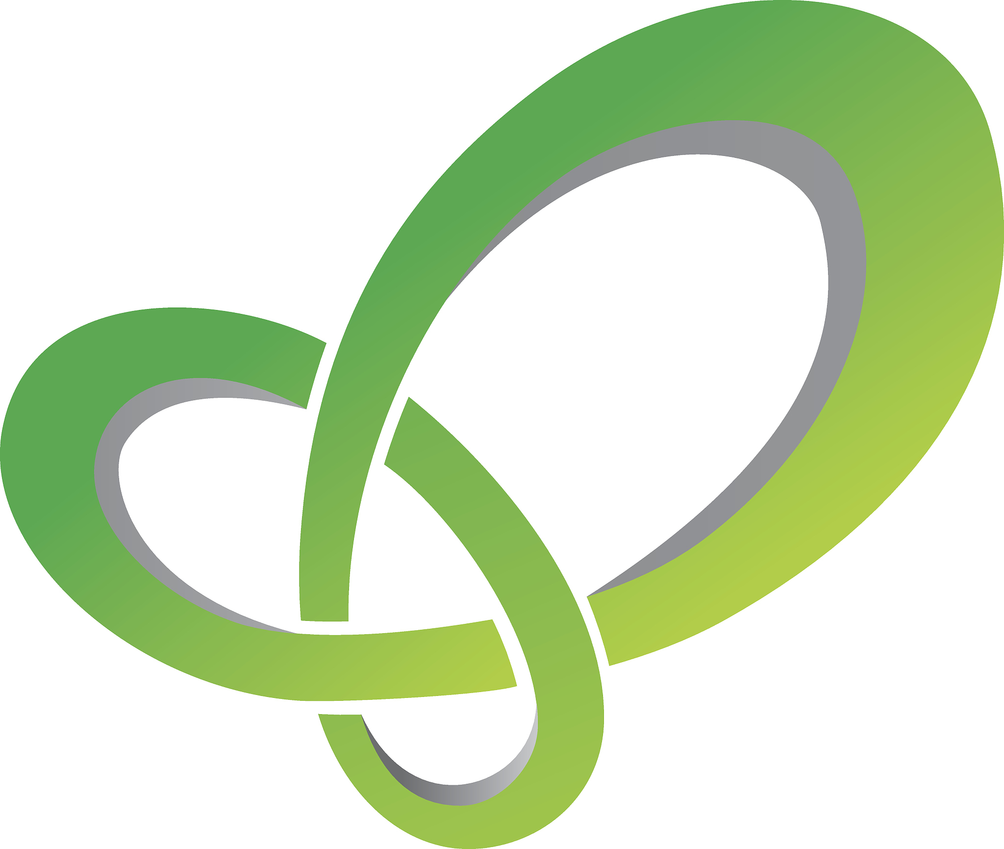 network vector