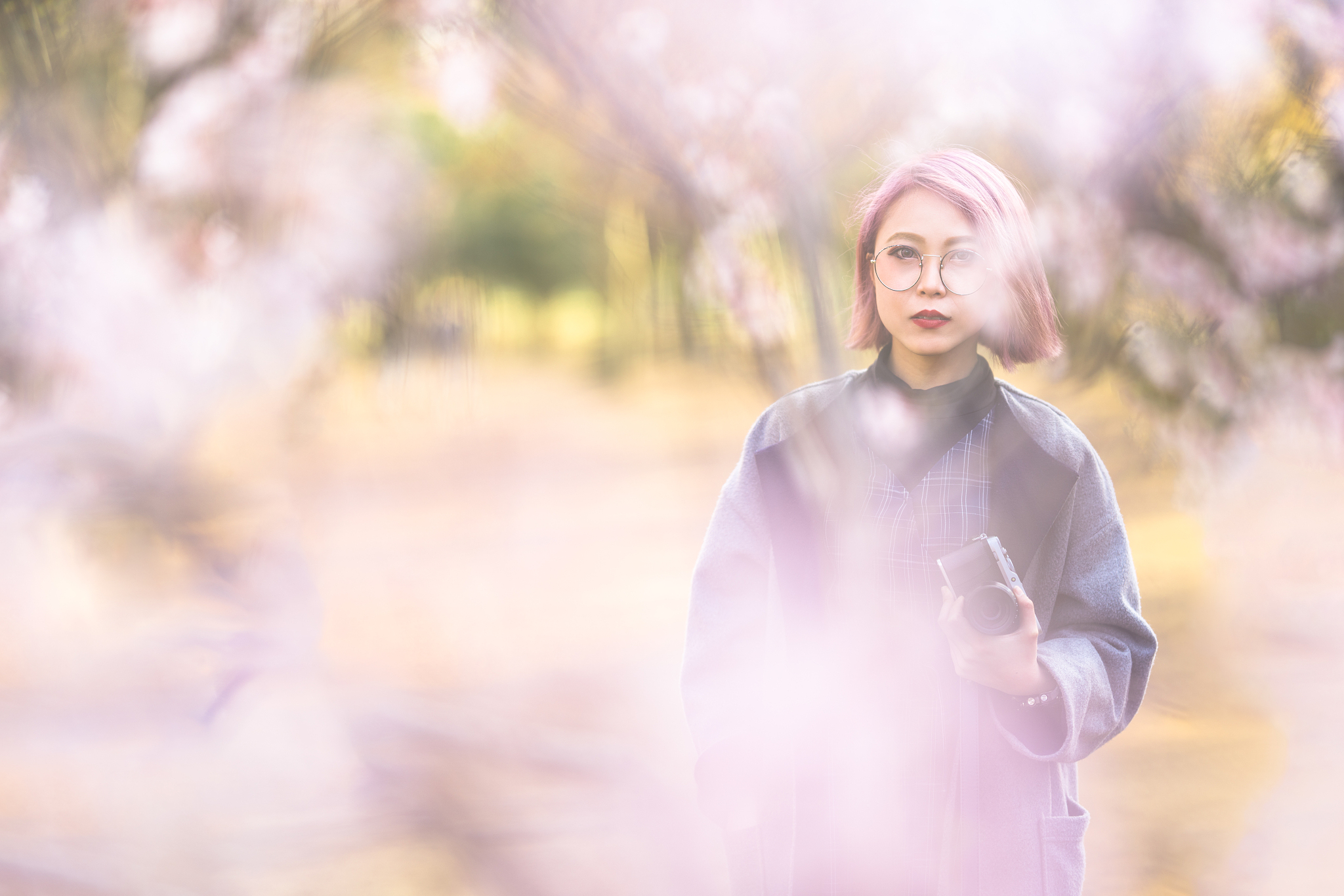 portrait of young woman through sakura petals