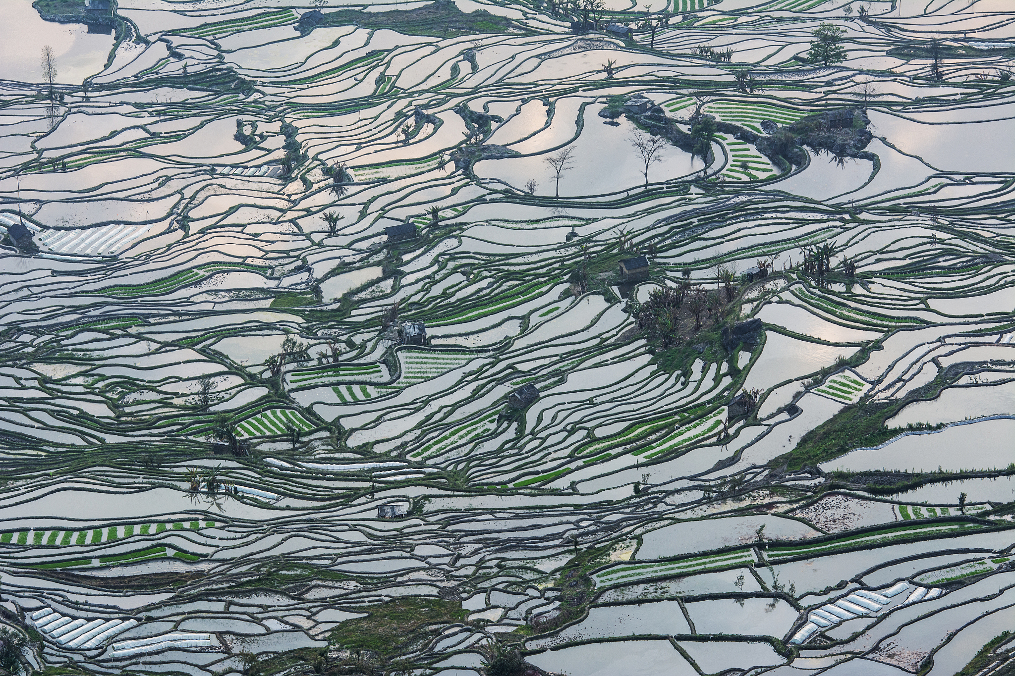 红河州农业学校2022年计算机应用专业招生简章