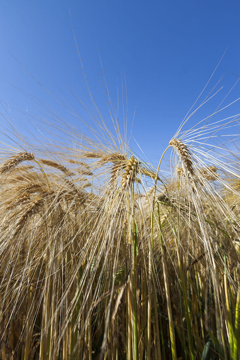 广西机电工程学校的农业机械化专业怎么样