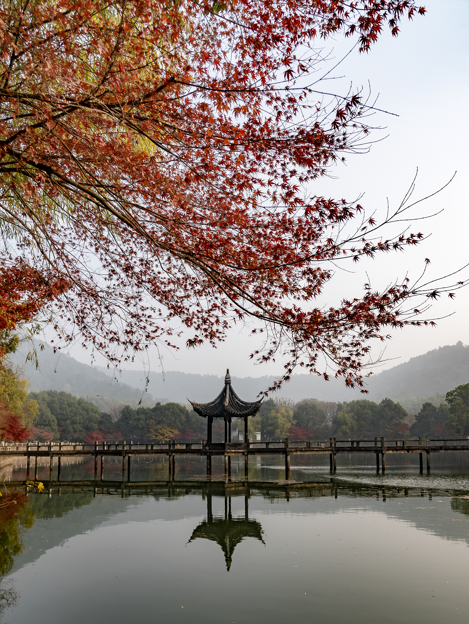 苏州市民求助热线：12345，解决您遇到的各种难题