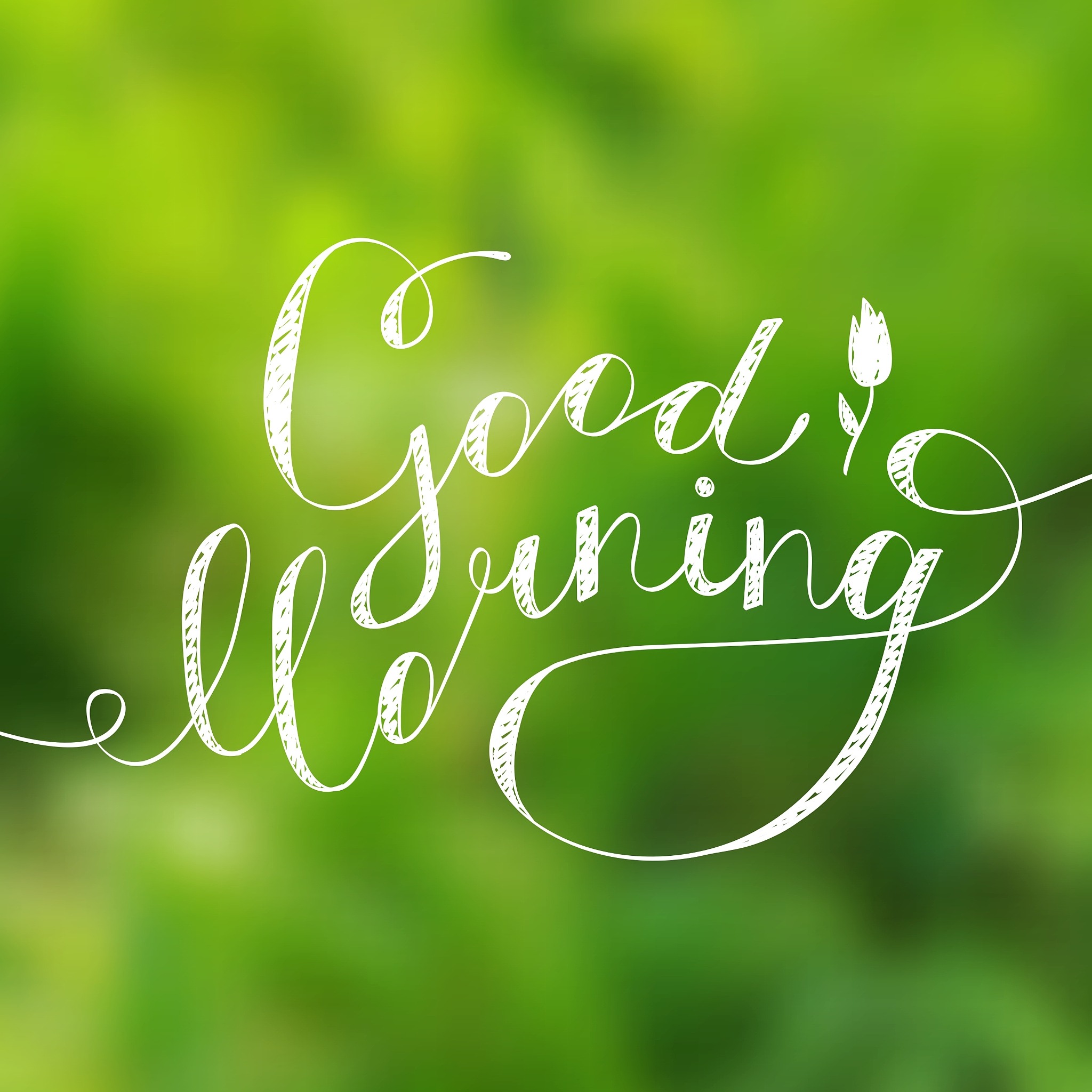 Wednesday morning greetings