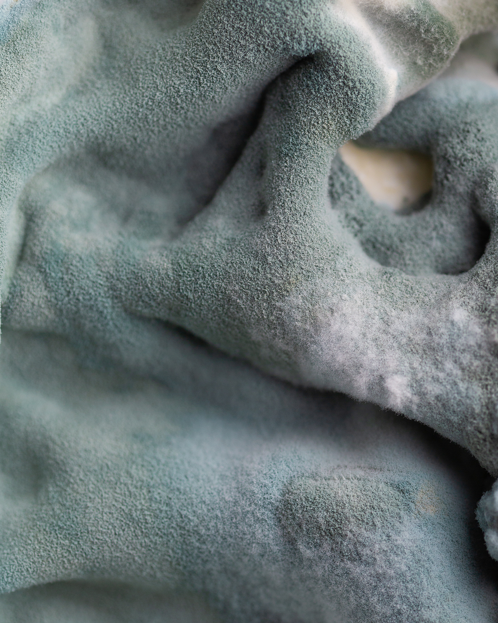 粮食发霉产生的疑问 短视频文案