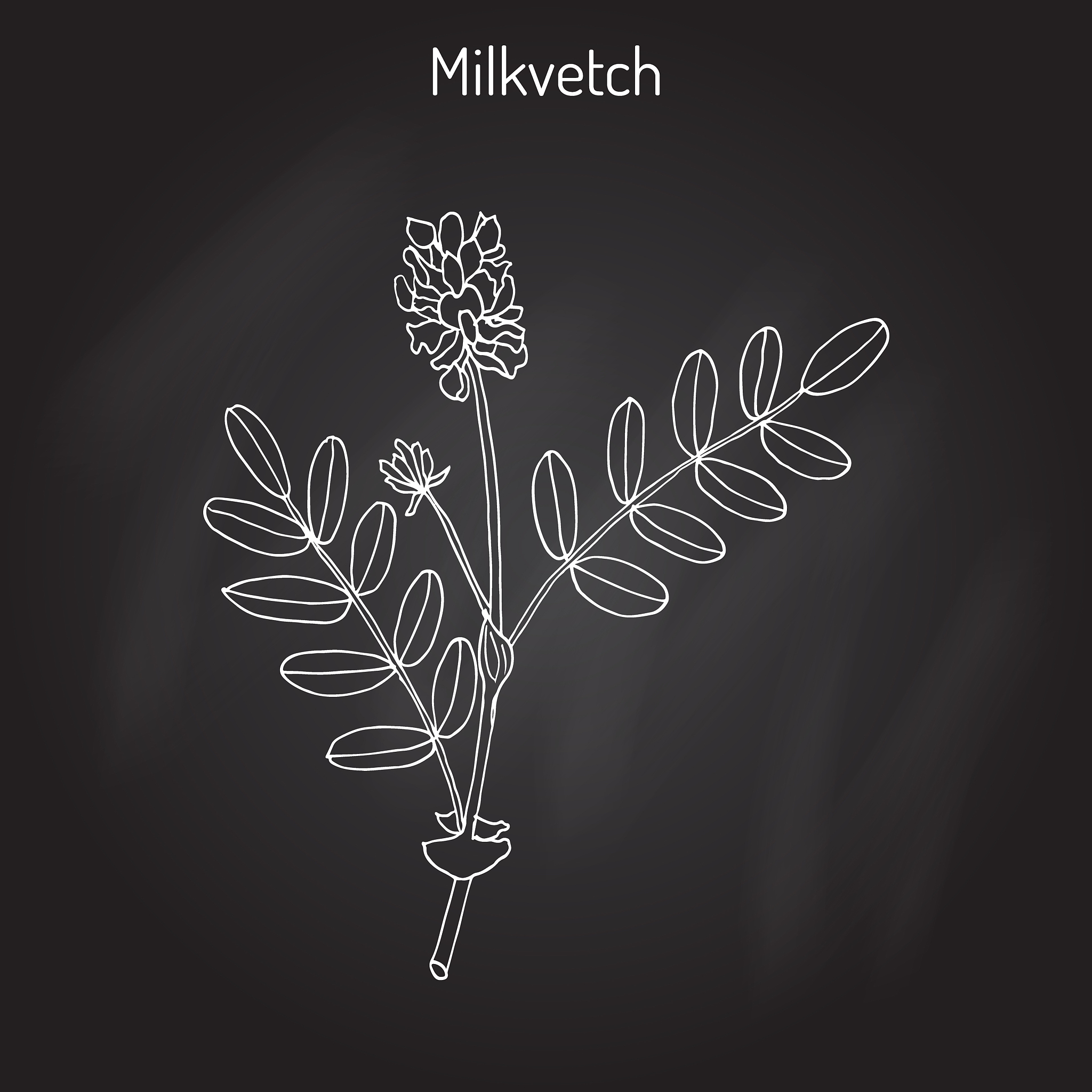 黄芪产品市场竞争分析：国内文献综述