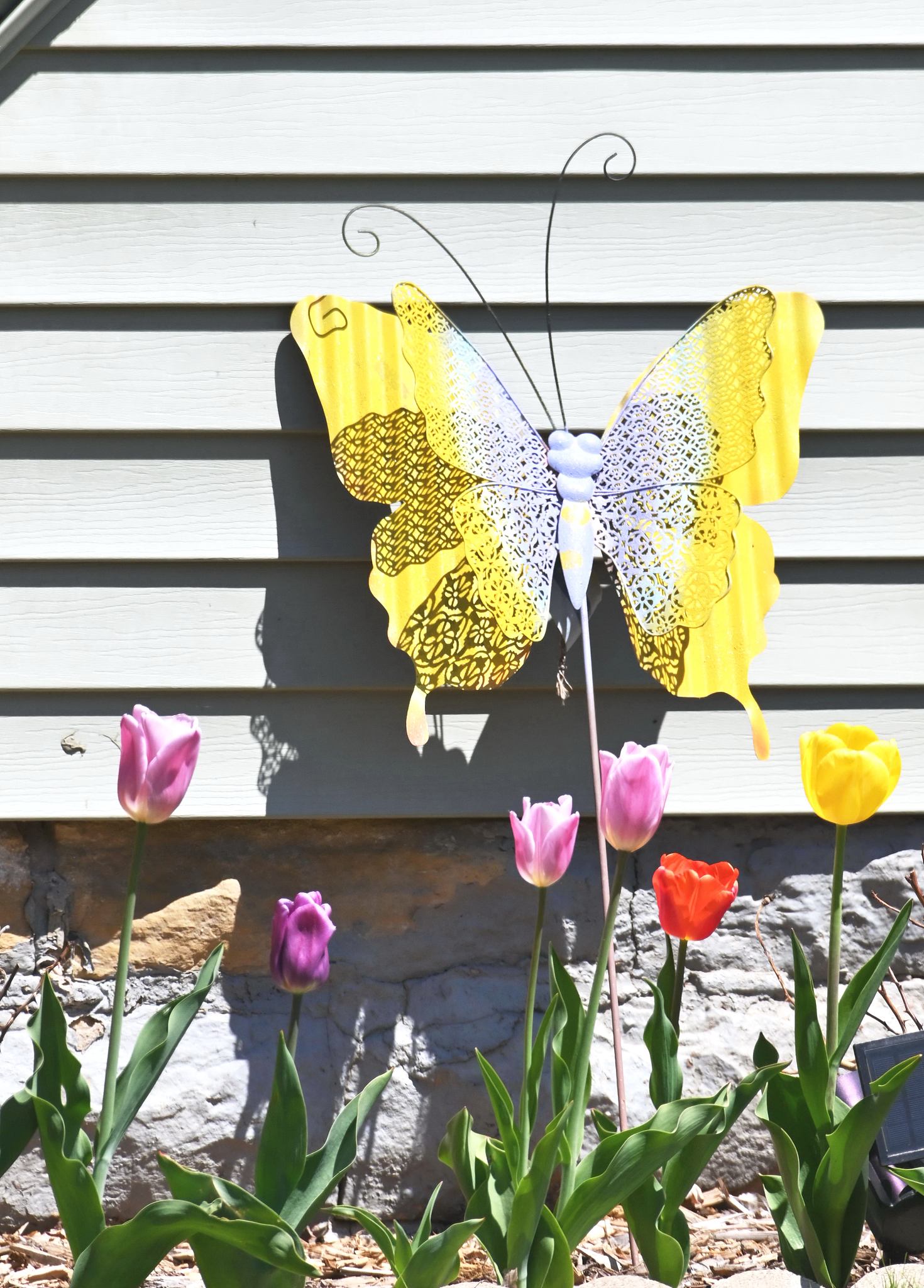 3D Butterfly Wall Decals & Sunflower Wall Decals: Reviews & Testimonials