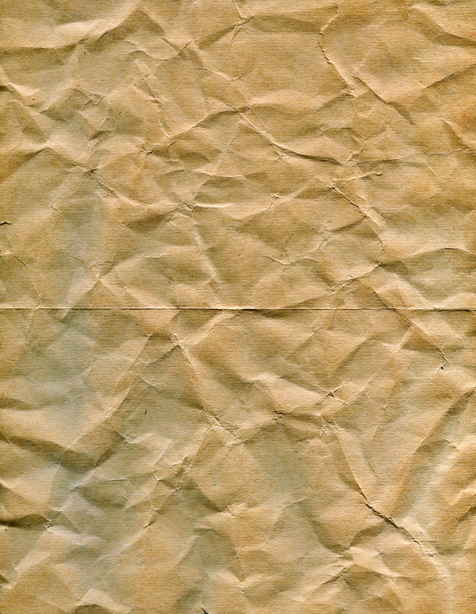 纸肌理和茶叶肌理的共性