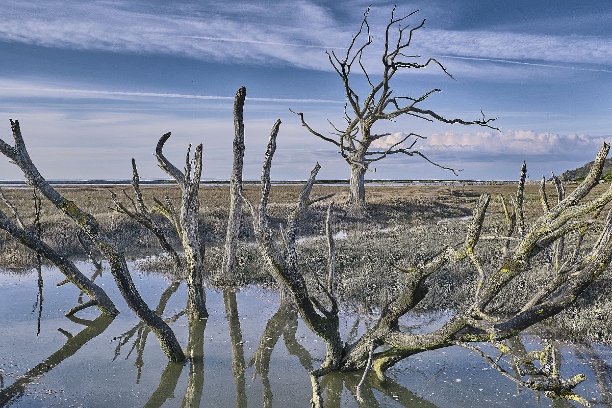 2015年年末东北地区农业用水量为 551×1010 m3约占全区可利用水资源量的 78高于全国平均水平65地下水开采量为 322×1010 m3约占全区用水量的 46其中 82 用于农田灌溉。此外东北地区湿地面积广阔主要分散在大兴安岭、小兴安岭、长白山、三江平原、松嫩平原、辽河三角洲等地区总计面积 75×104 km2占全国湿地总面积的 141。湿地具有水源涵养、生物多样性、洪水调蓄、局地气候调