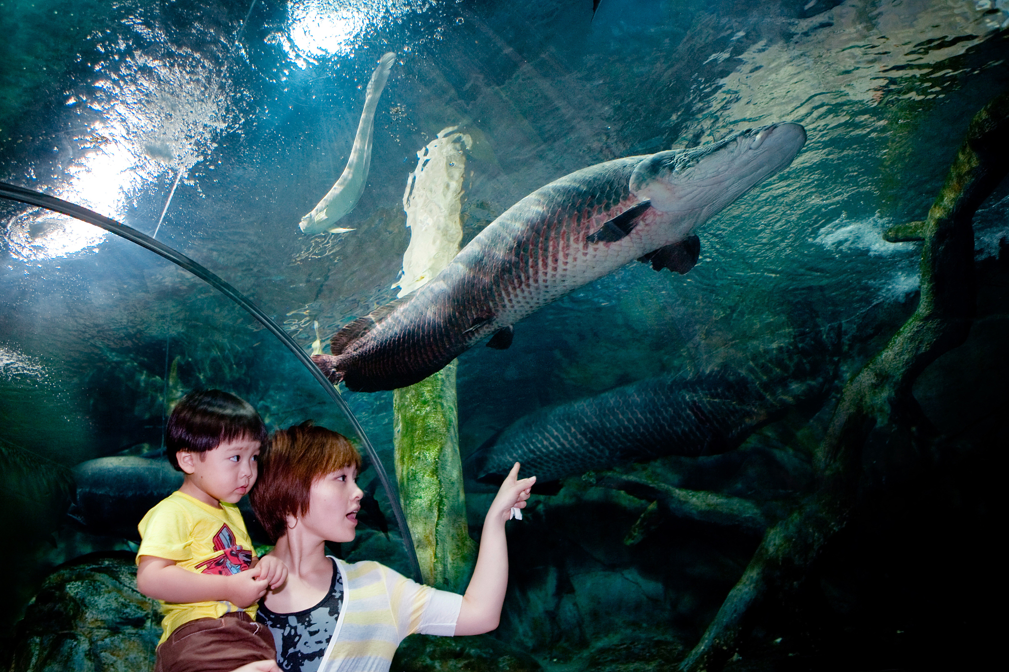 mother with children at the aquarium