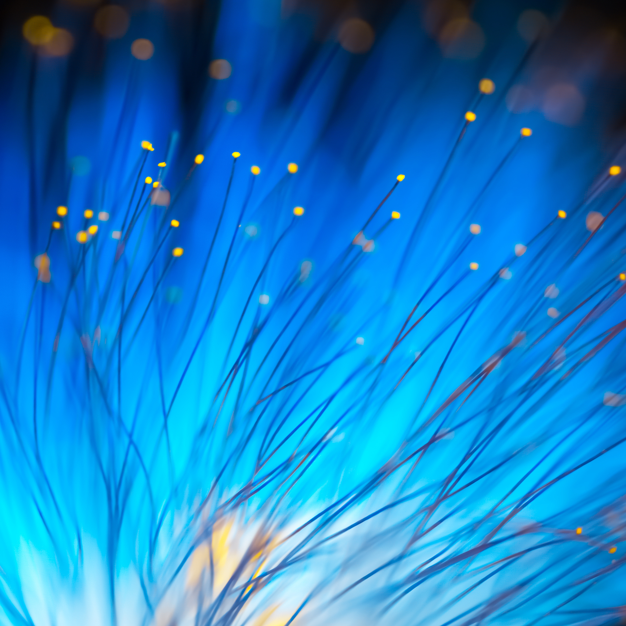 abstract blurred blue light and flower natural background.