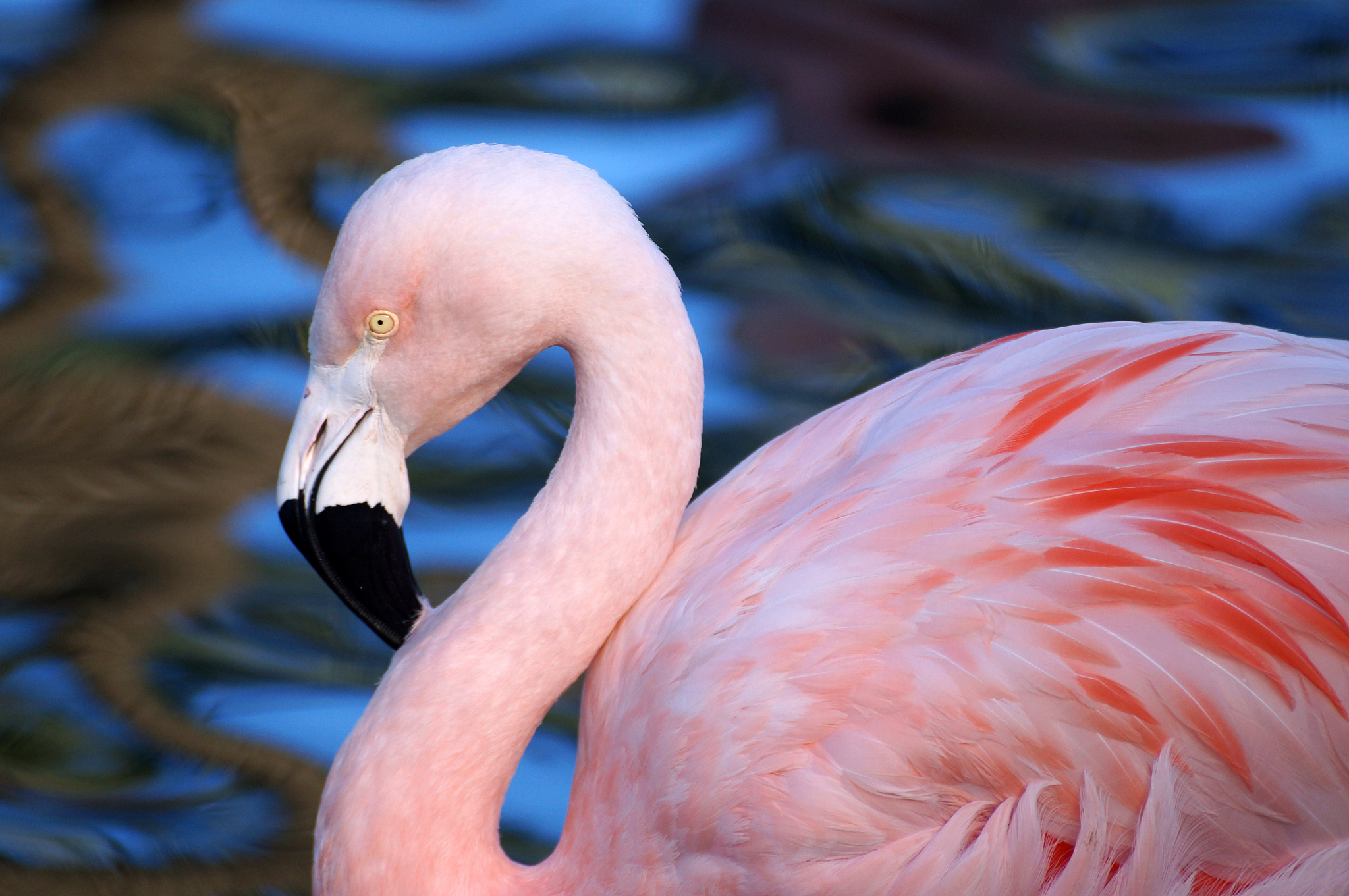 晋城职业技术学院有什么专业有广告设计与制作专业吗