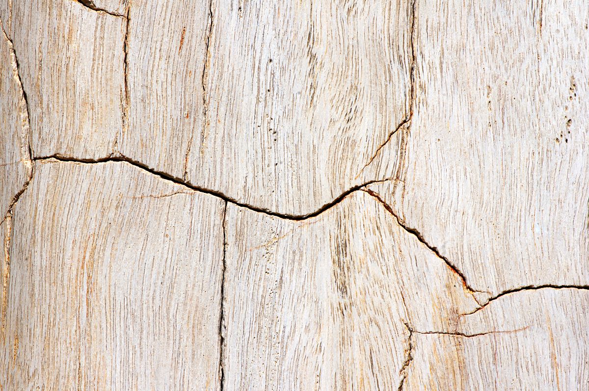 成都石化工业学校高星级饭店运营与管理专业就业方向有哪些