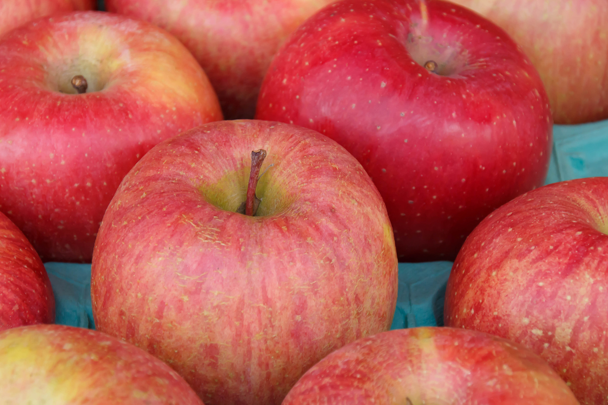 苹果的种类、营养价值、食用方法及产销市场