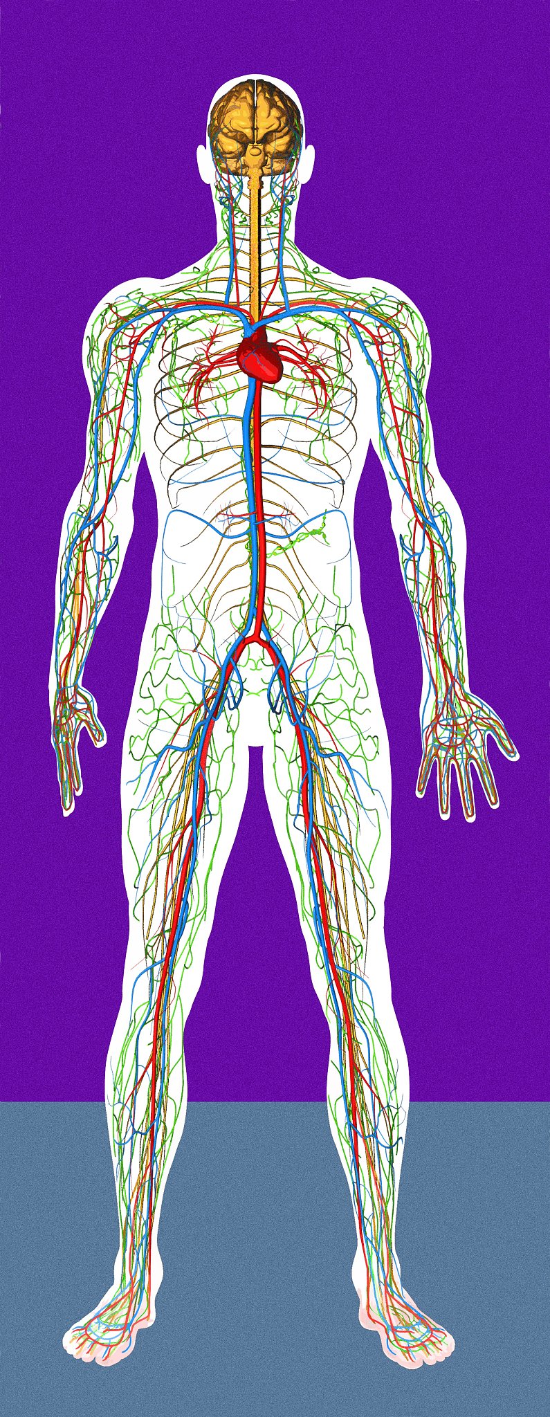 重庆护理学校针灸推拿门槛低吗？