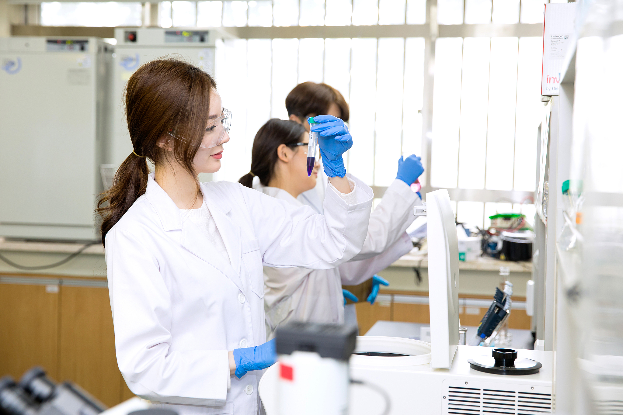 生物技术 vs 生物科学：哪个更好？