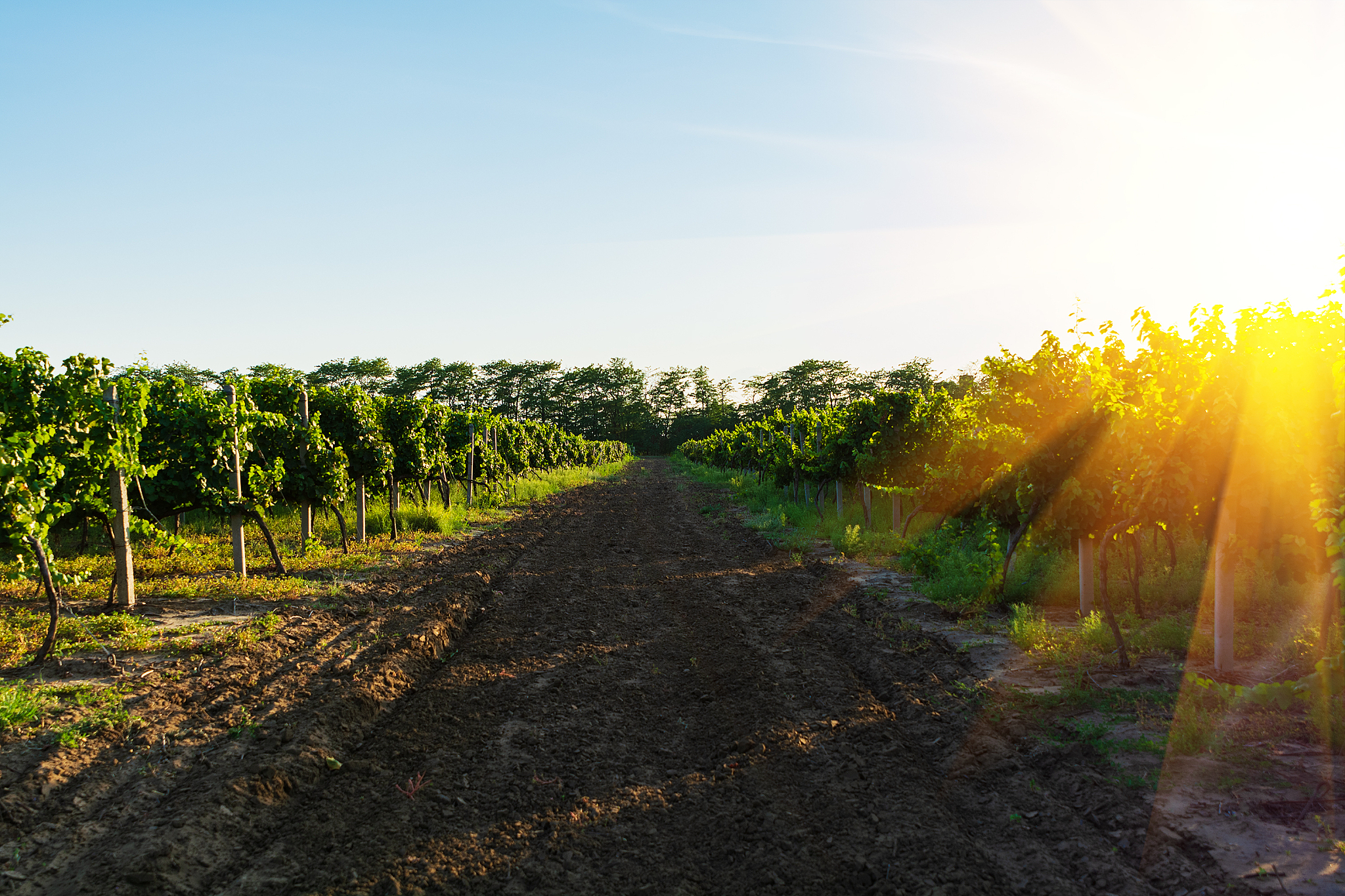 2022年贵州农业职业学院五年制大专招生简章 - 农业专业报名时间及考试科目